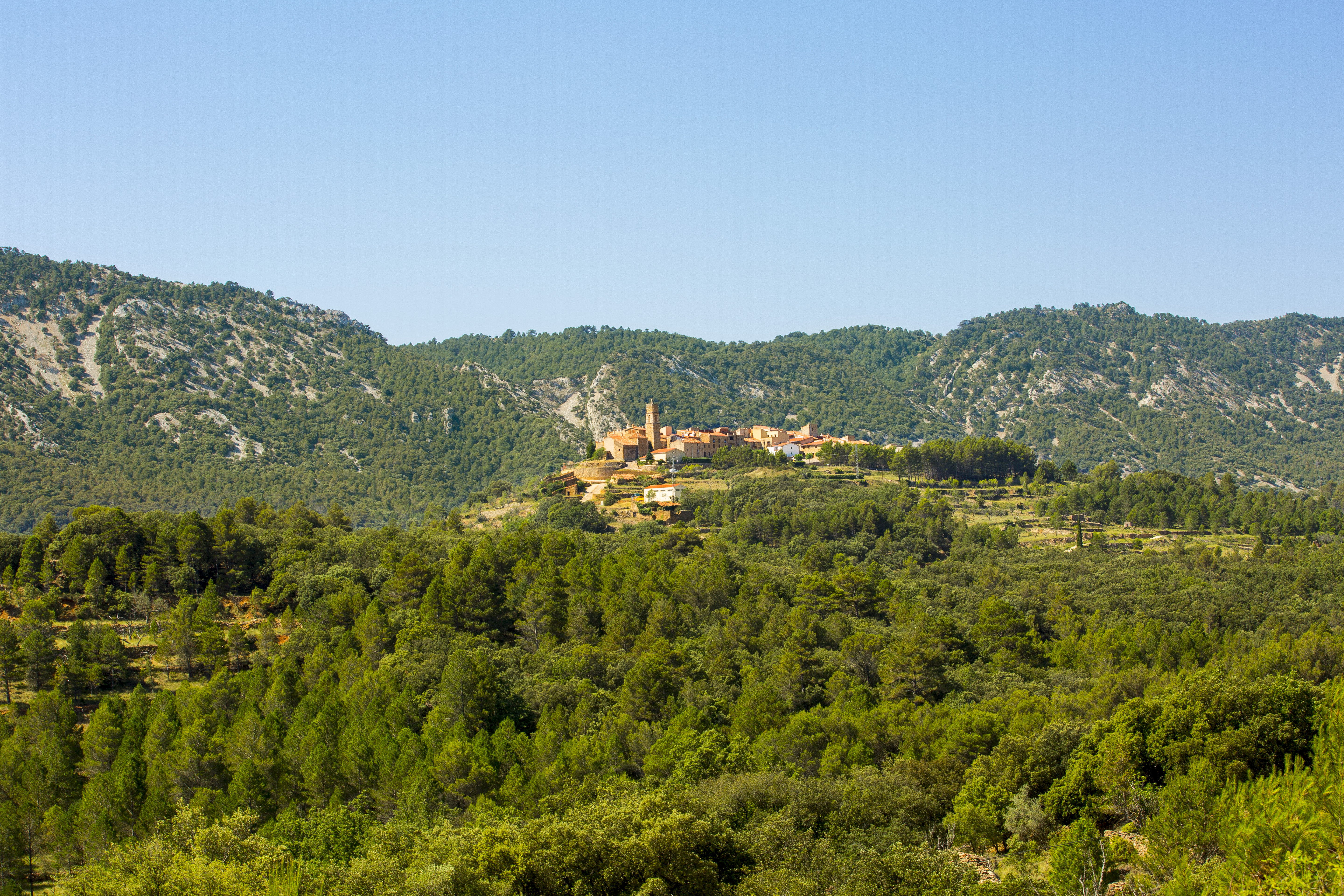 planes puente de diciembre,