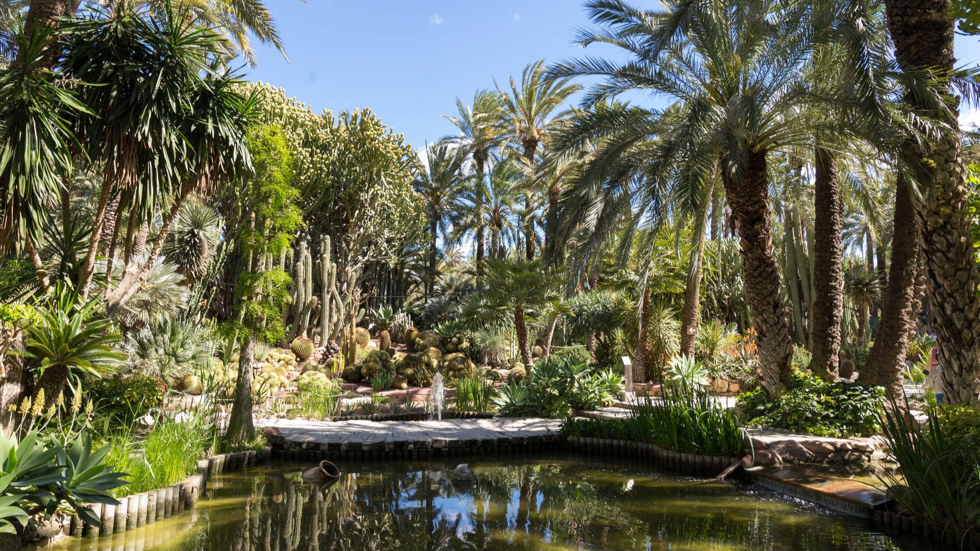 palmengarten von elche