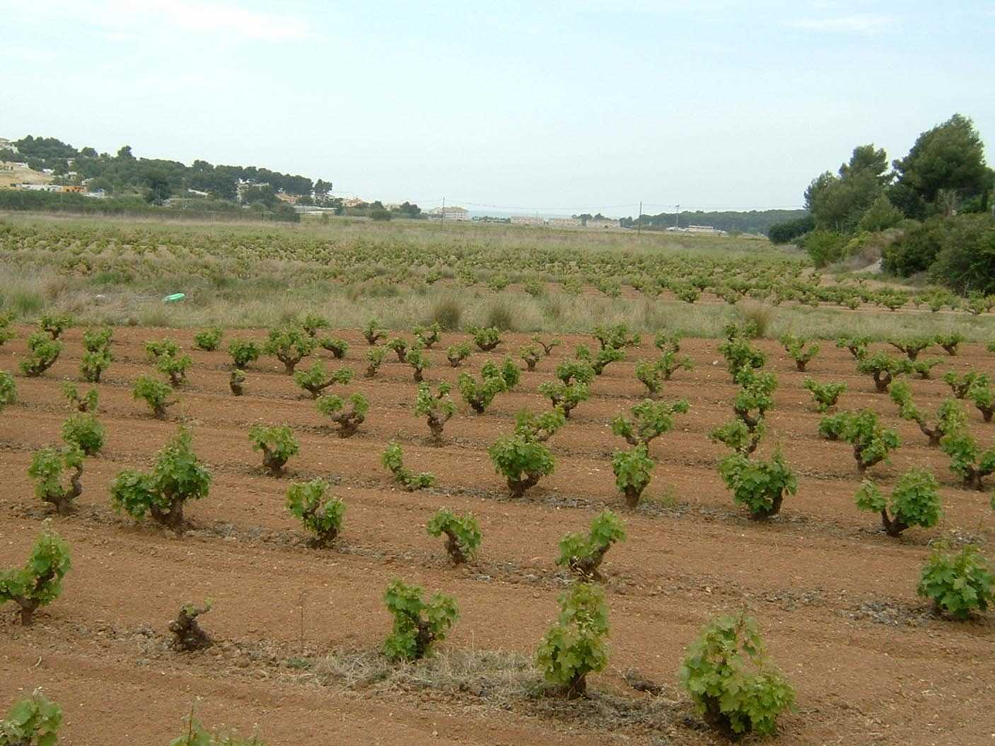 Protected Landscape of Les Sorts Teulada Moraira