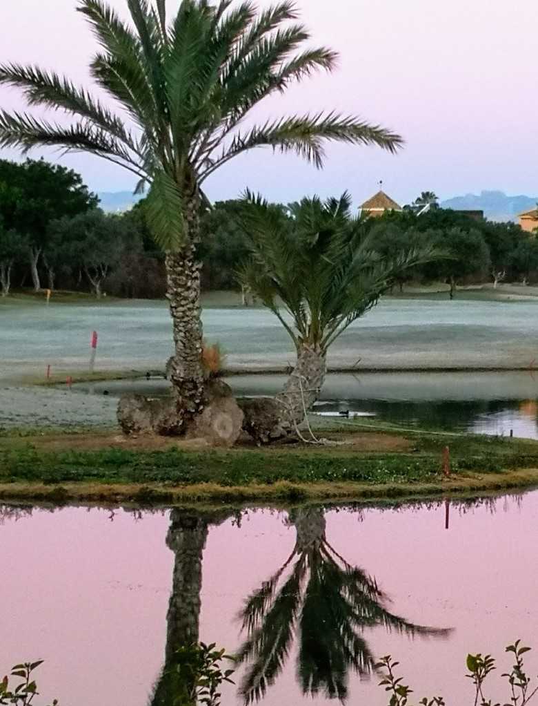 ALICANTE GOLF