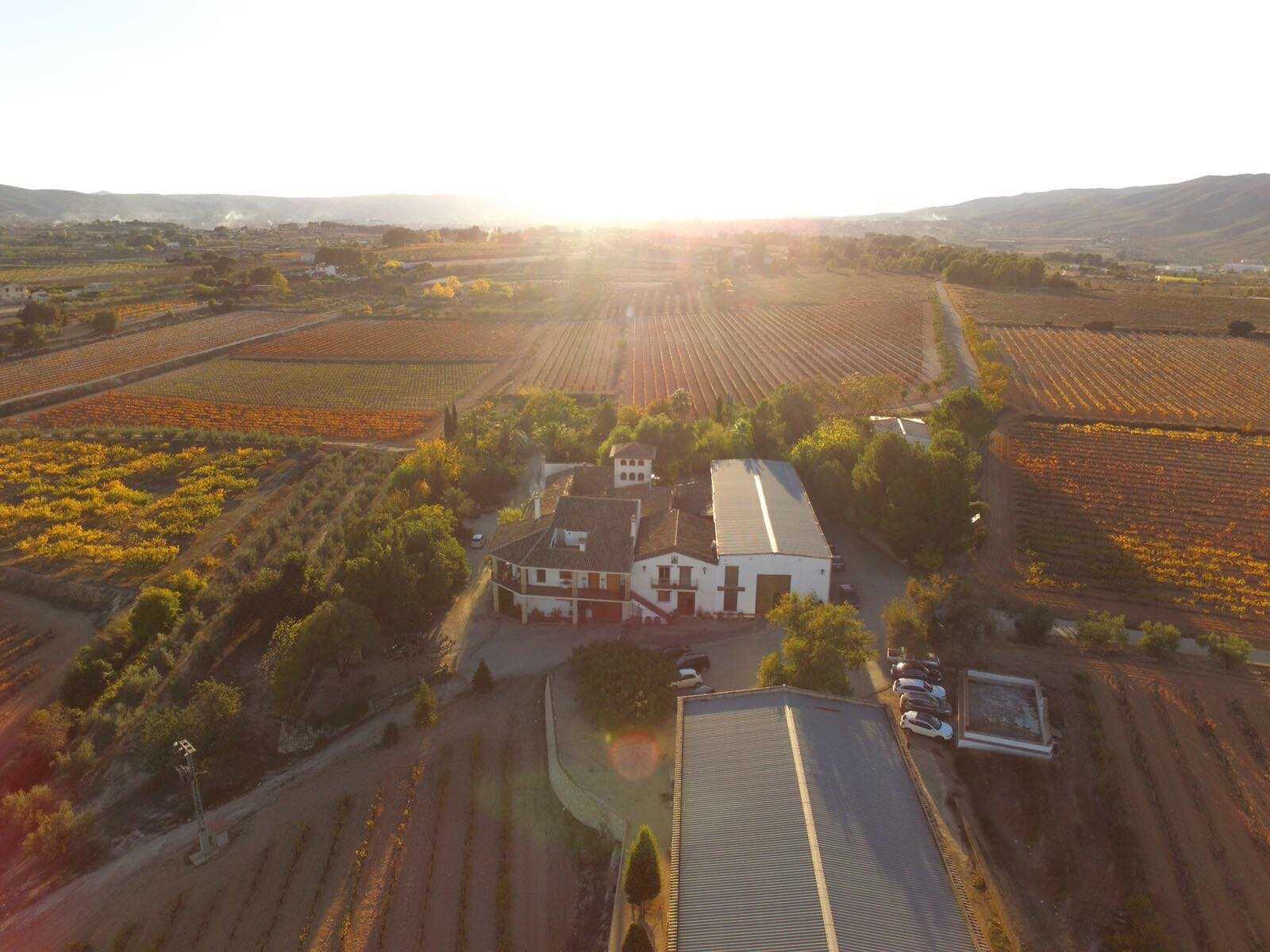 BODEGAS LA CASA DE LAS VIDES