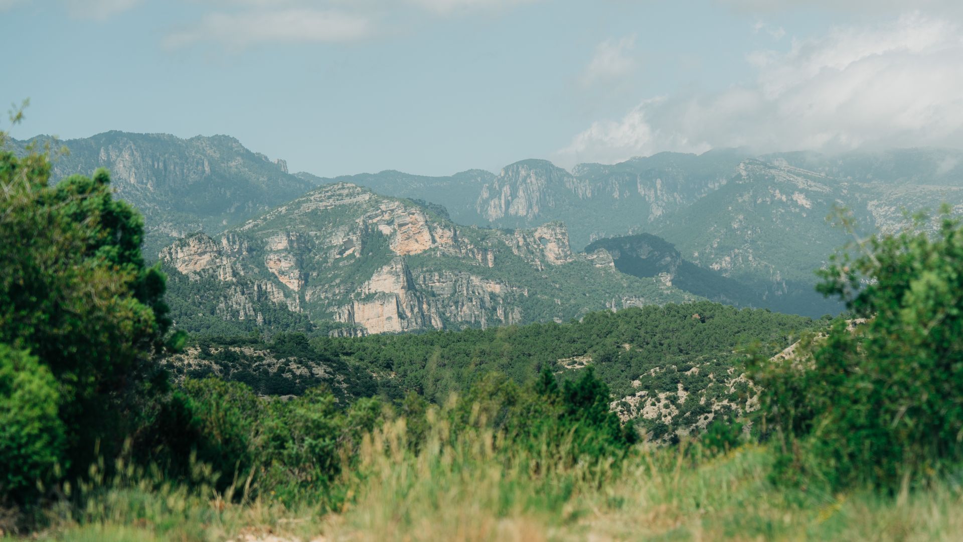 Parque Natural de La Tinença de Benifassà