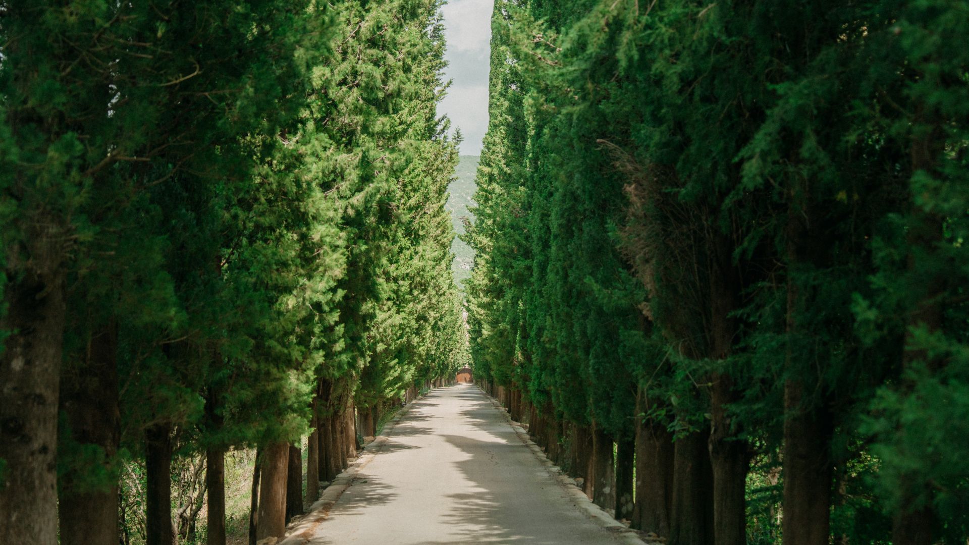 Parque Natural de La Tinença de Benifassà