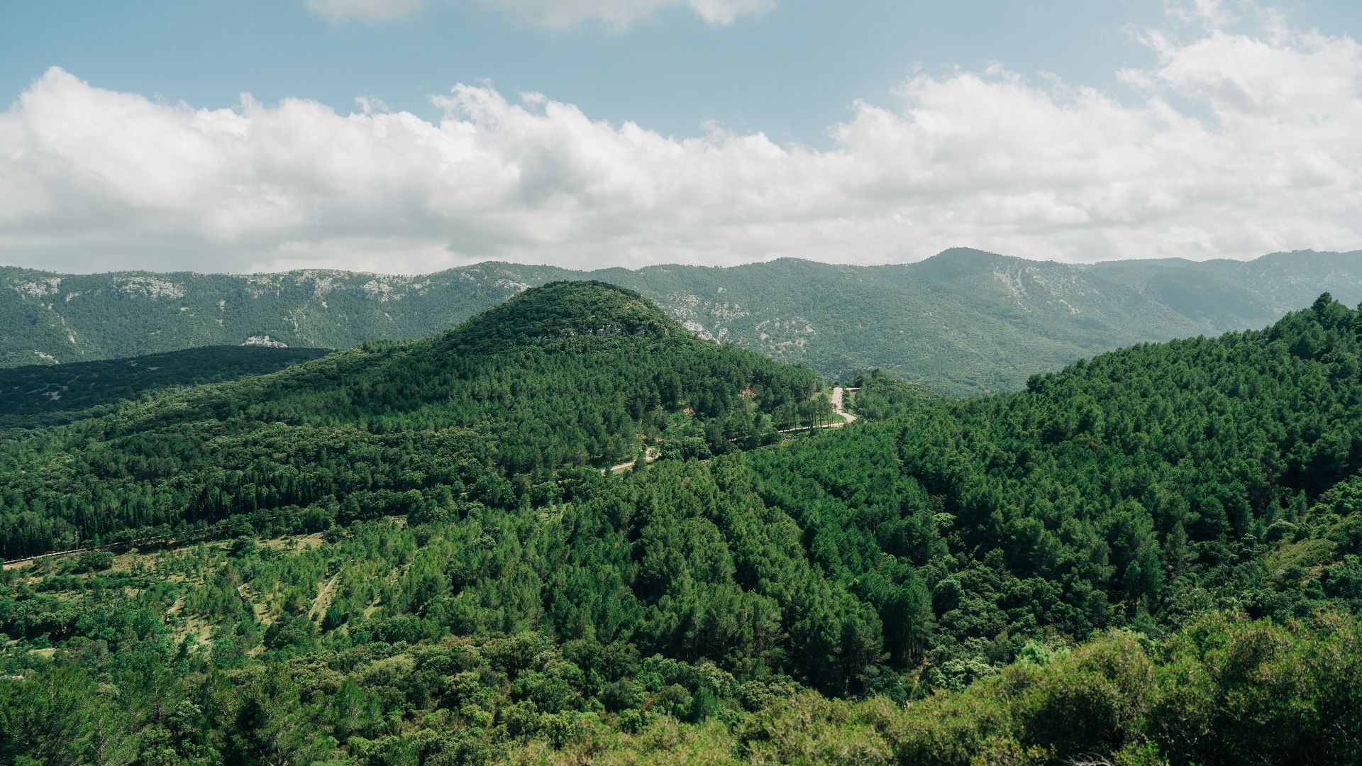 Parque Natural de La Tinença de Benifassà