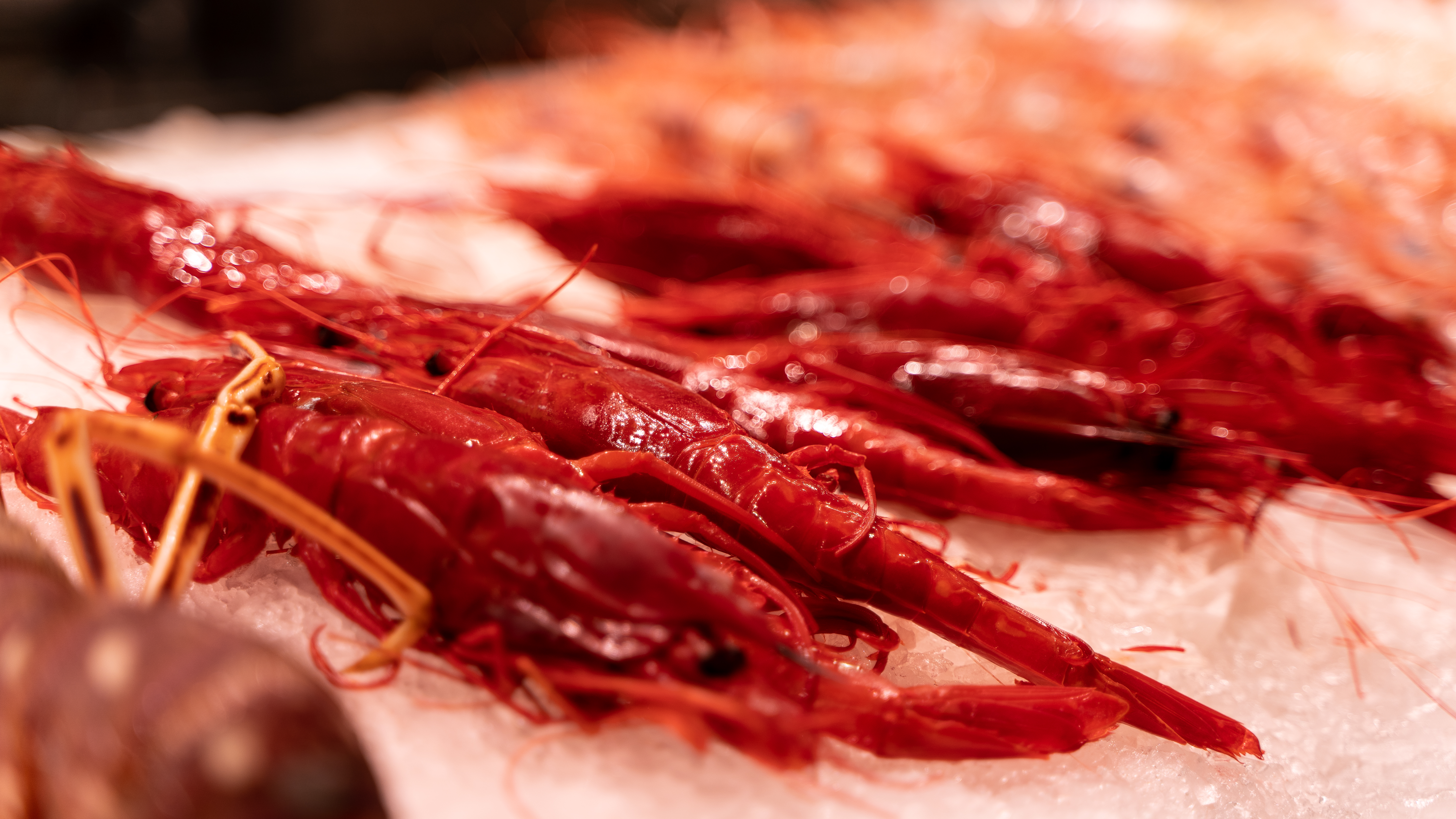 Mercado Central de València