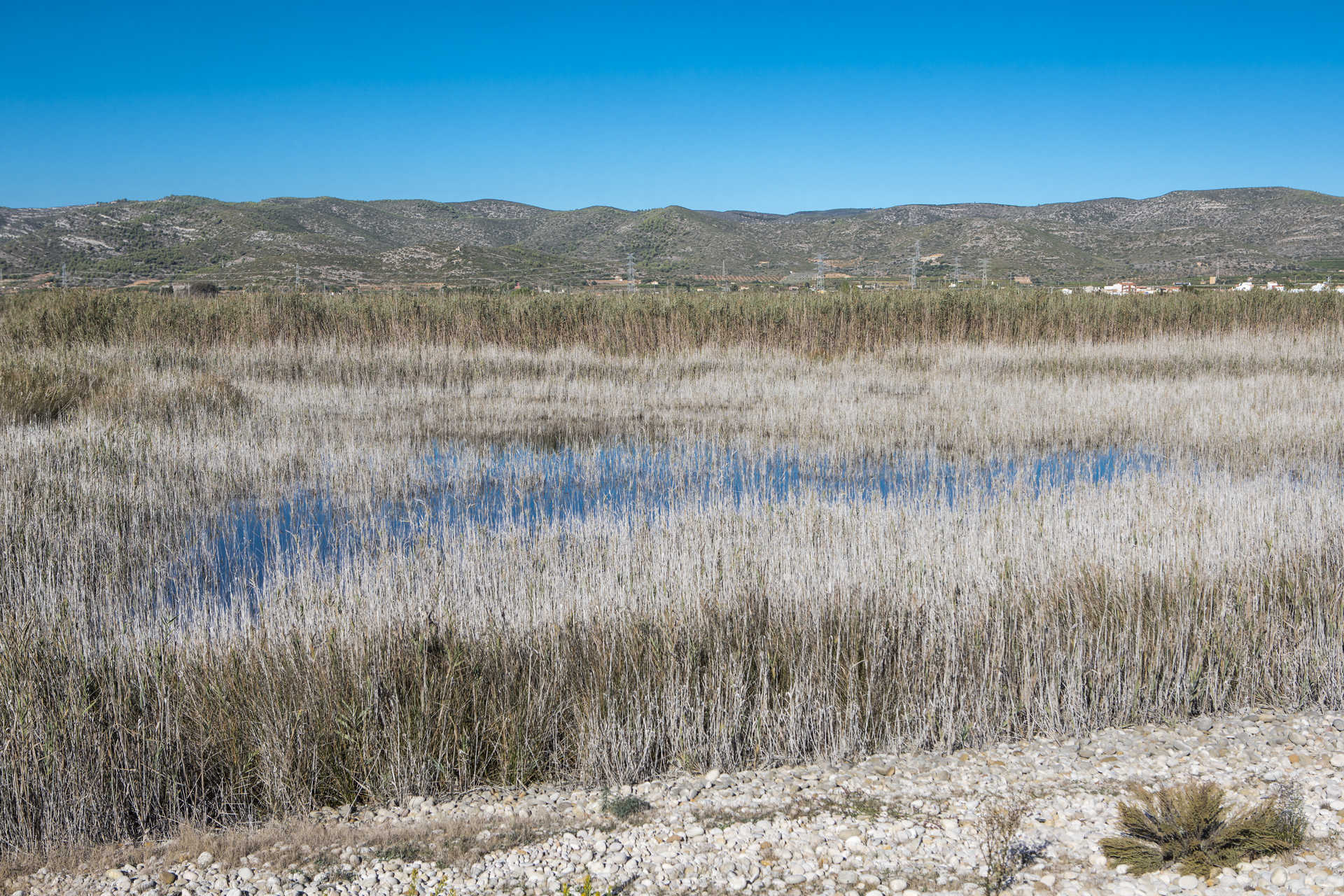 El Parc Natural de Cabanes i Torreblanca