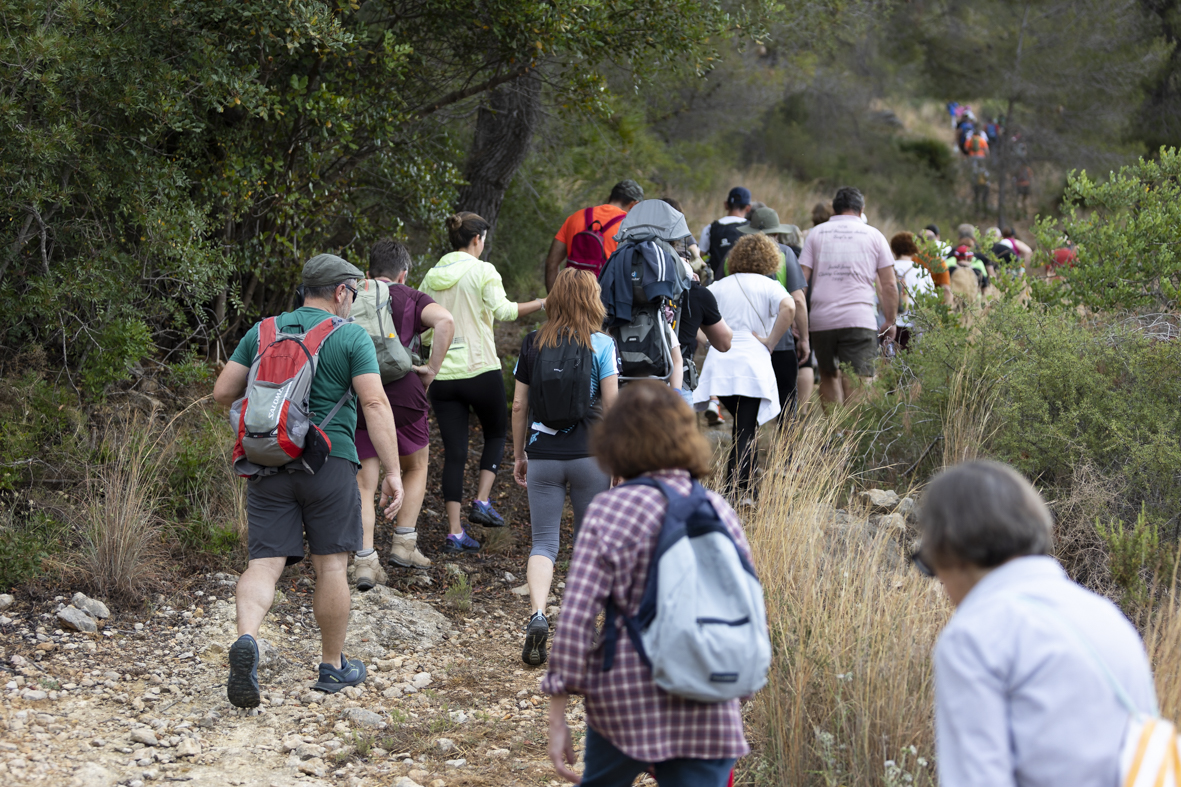 ARRELS EN RUTA - Ciclo de Rutas Culturales MAEX 2024