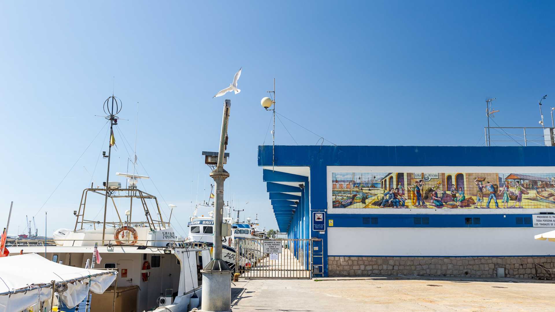 Visita guiada: Grao de Castellón. Aires marineros