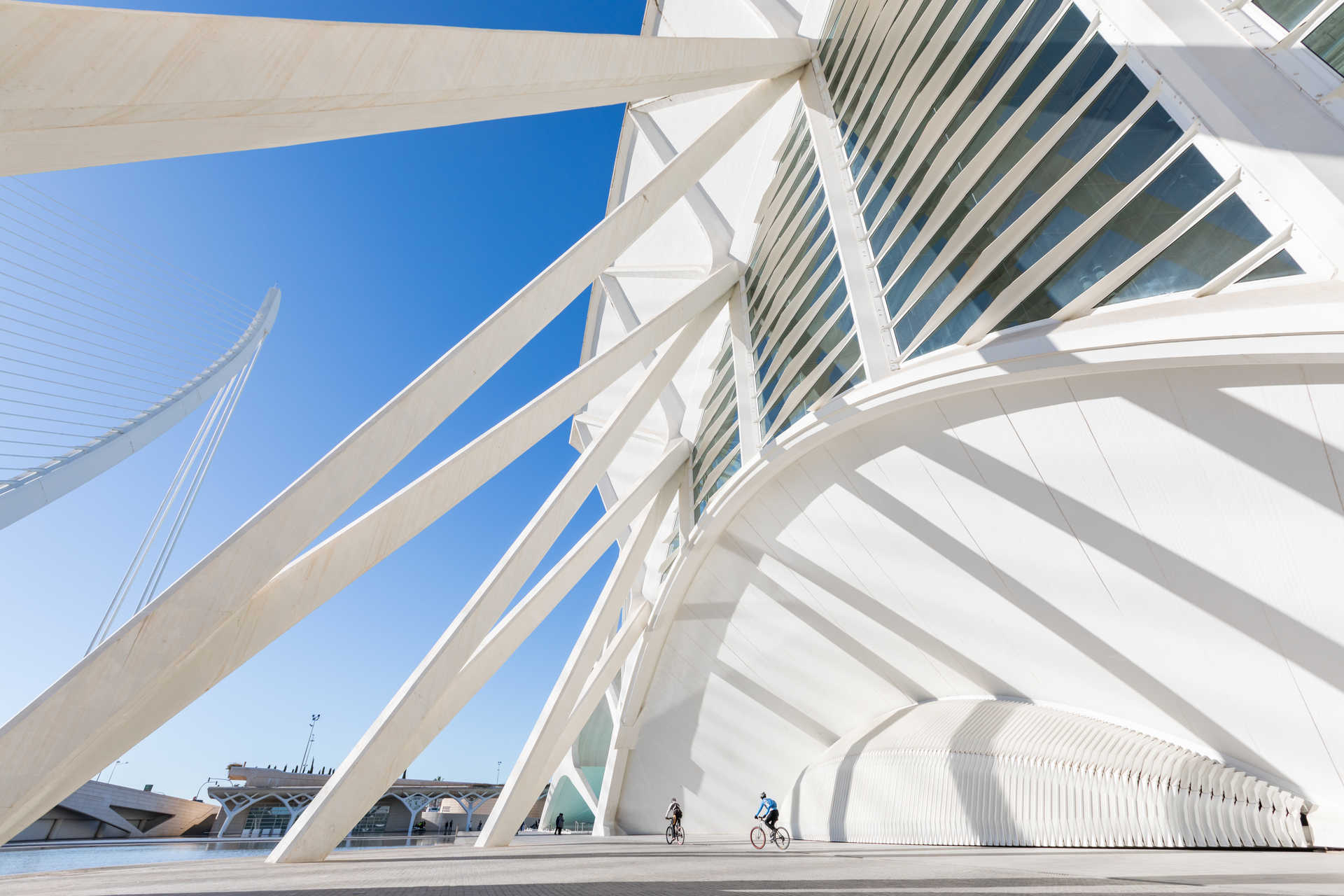 Museu de les Ciències