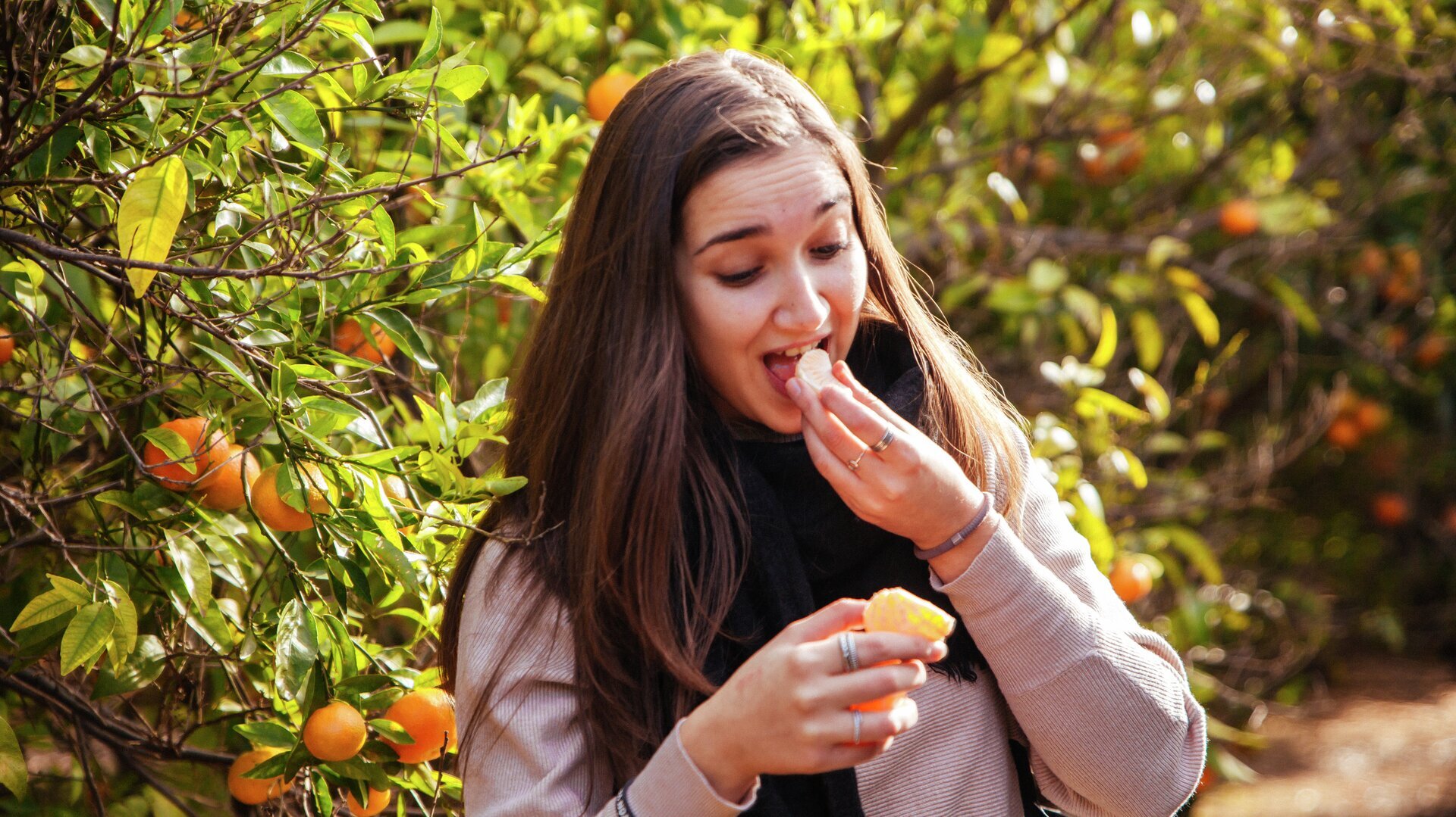 Ruta de la Taronja a Borriana