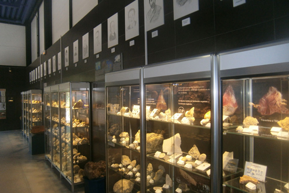Expo-museum Explora Isurus