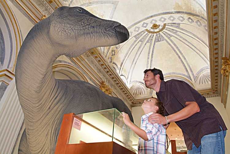 Museu de Dinosaures