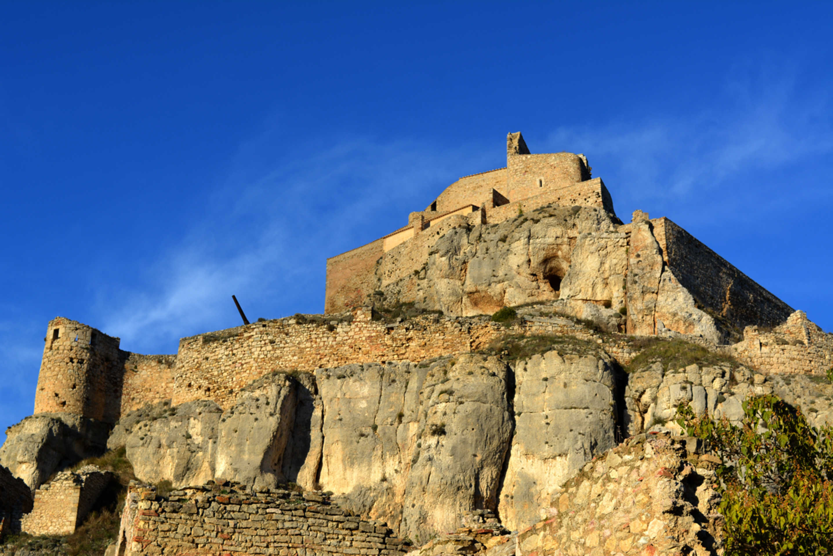 Morella