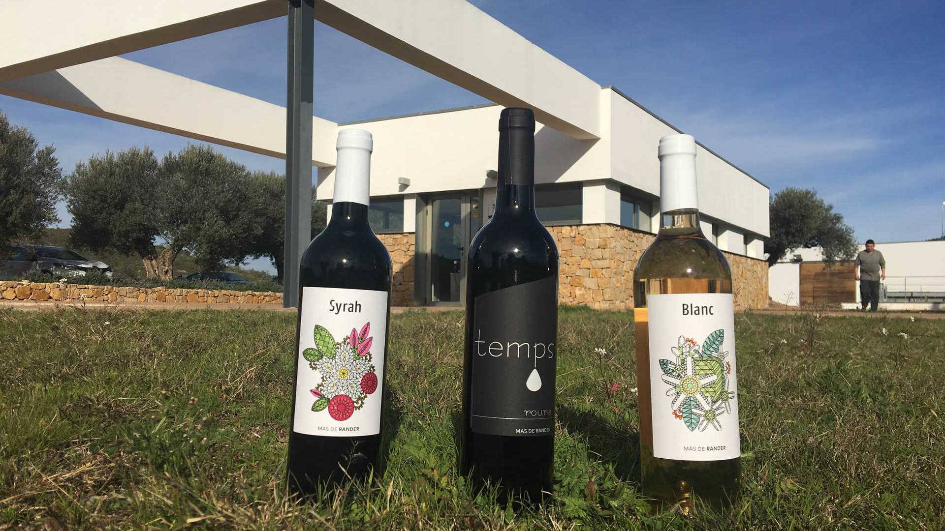 wines castellon,