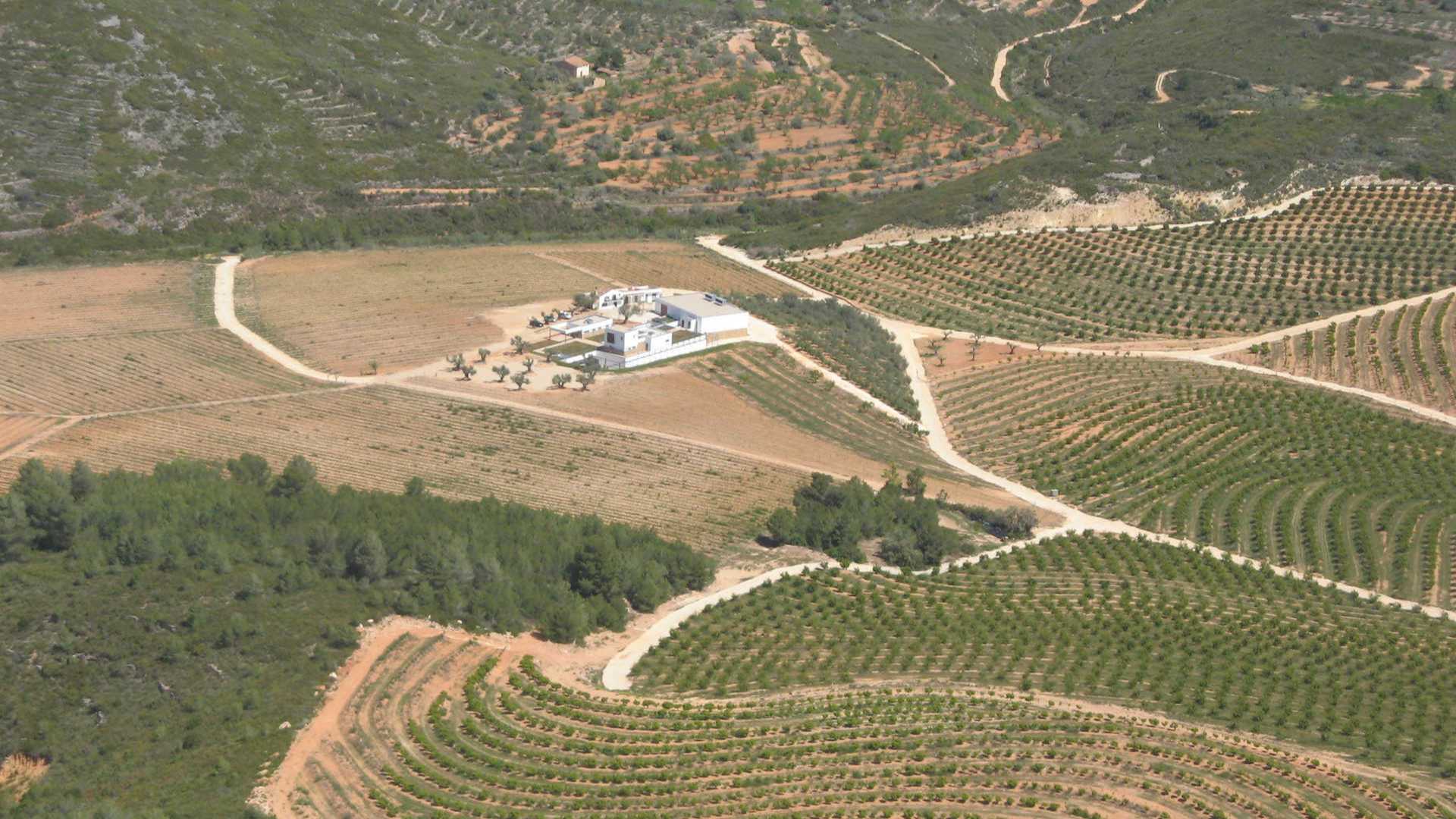 dégustation de vins castellon,