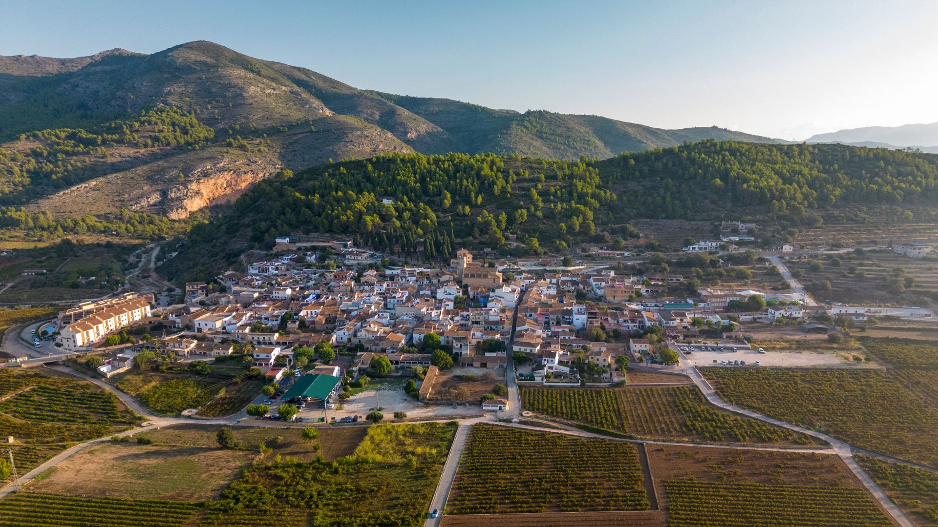 vignobles dans le paysage de la marina alta,