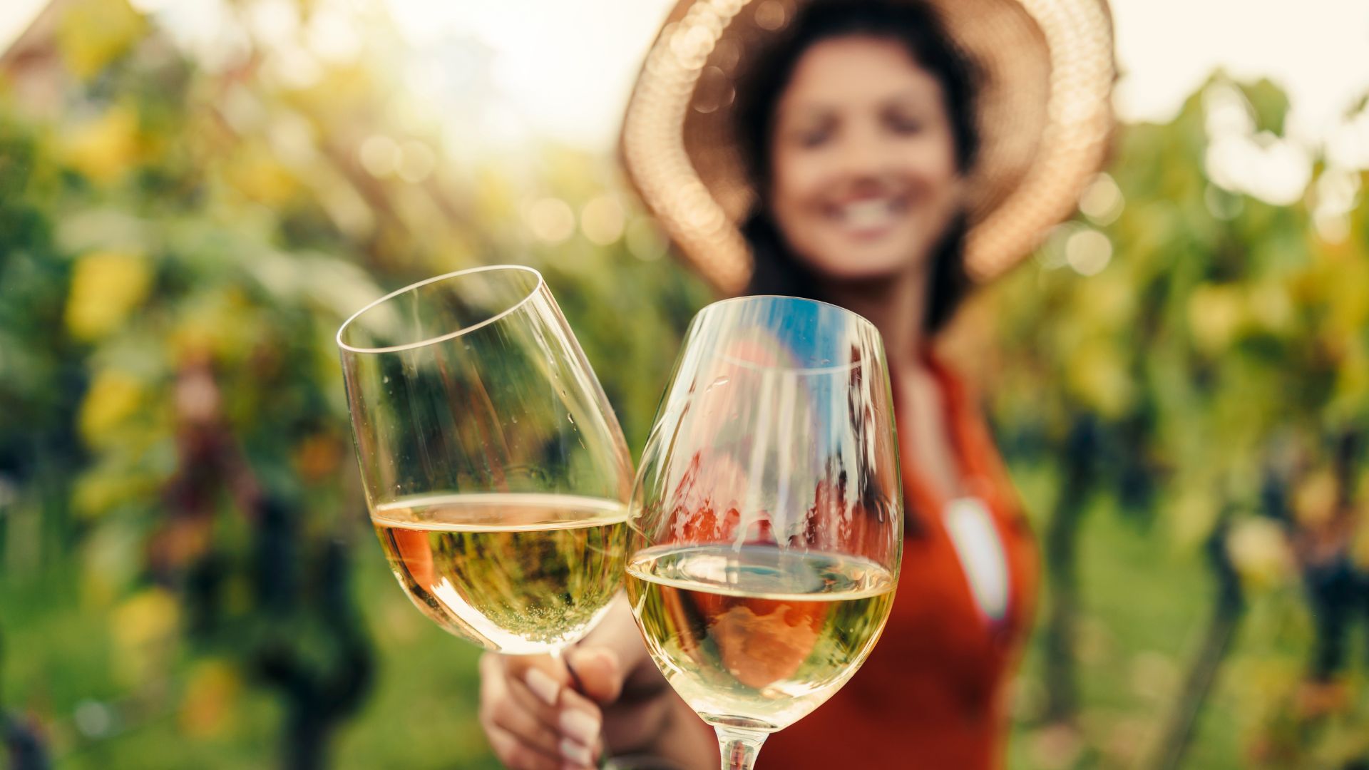 vignobles marina alta,
