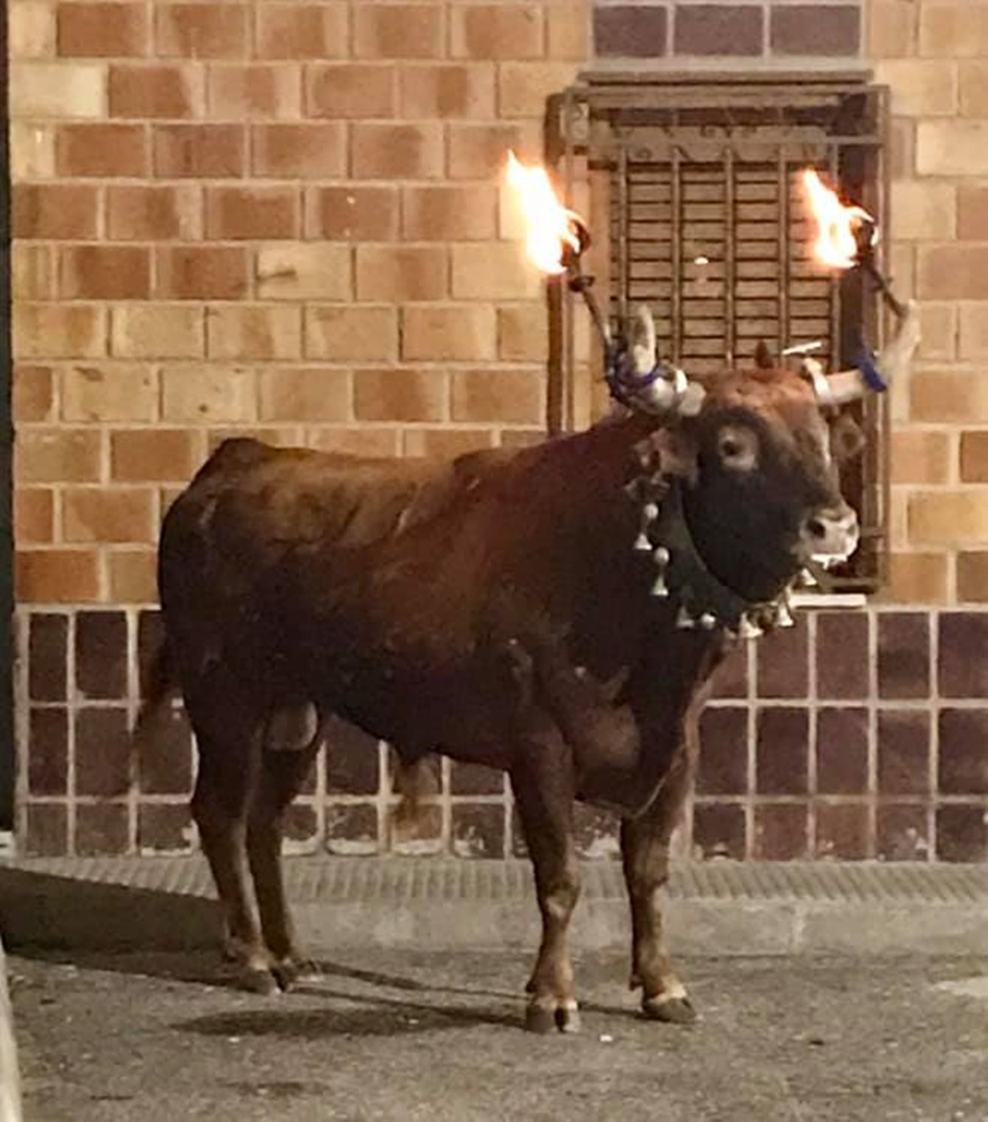 Torás FIESTAS EN HONOR A SAN JUAN