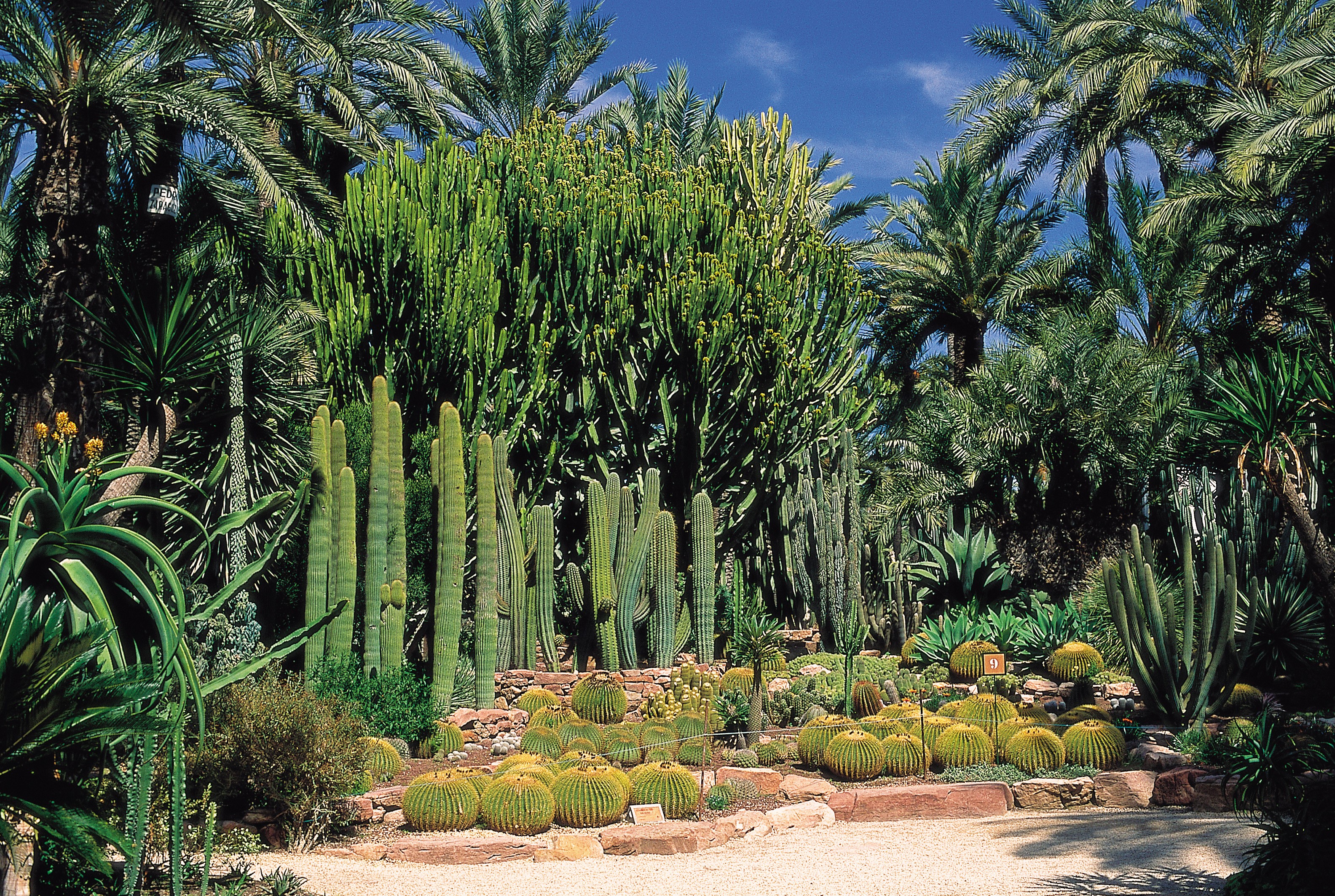 Visita al Jardín Huerto del Cura