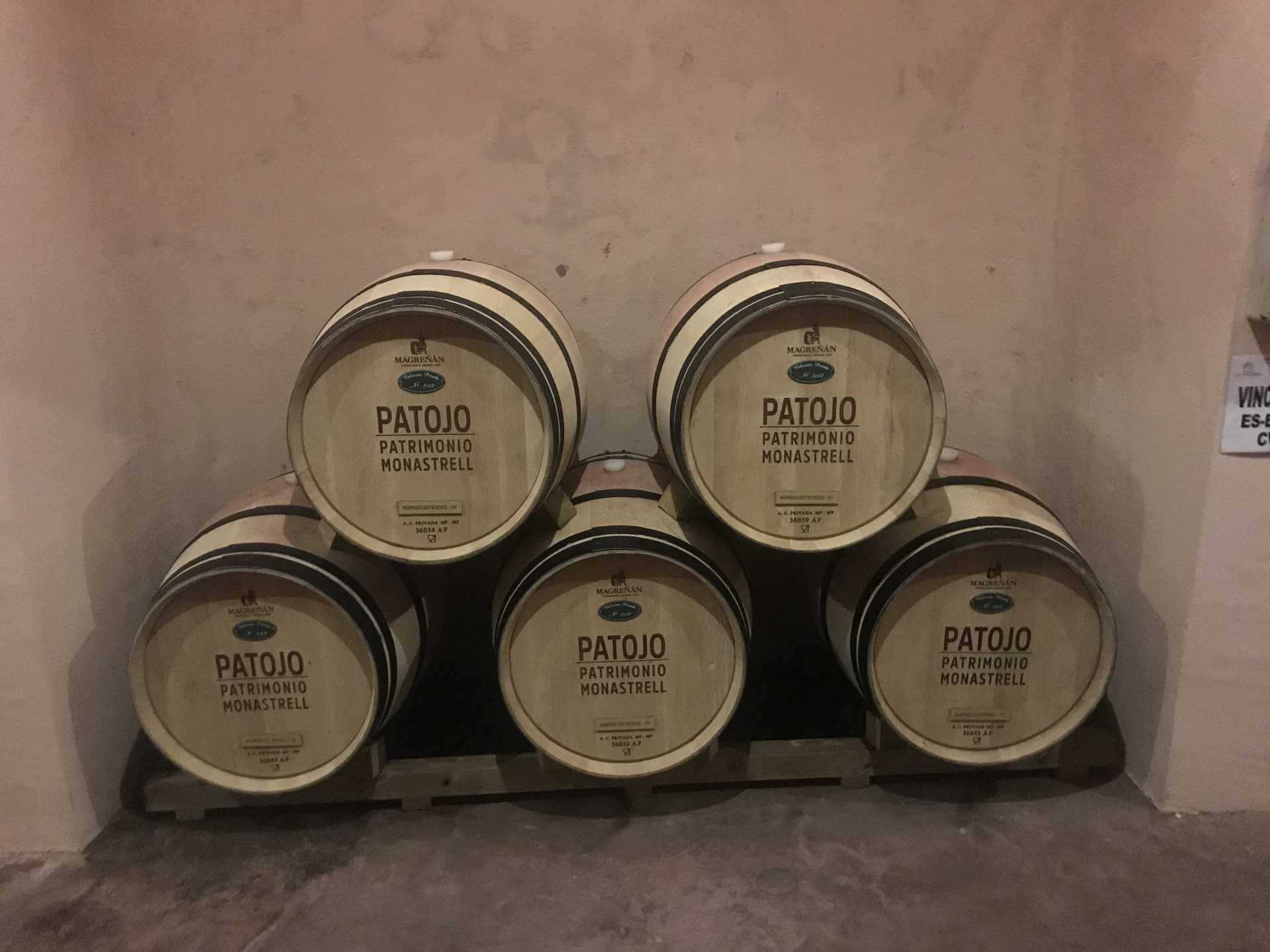 Plan gastro menú: visita bodega y comida en Rte Wasynessy