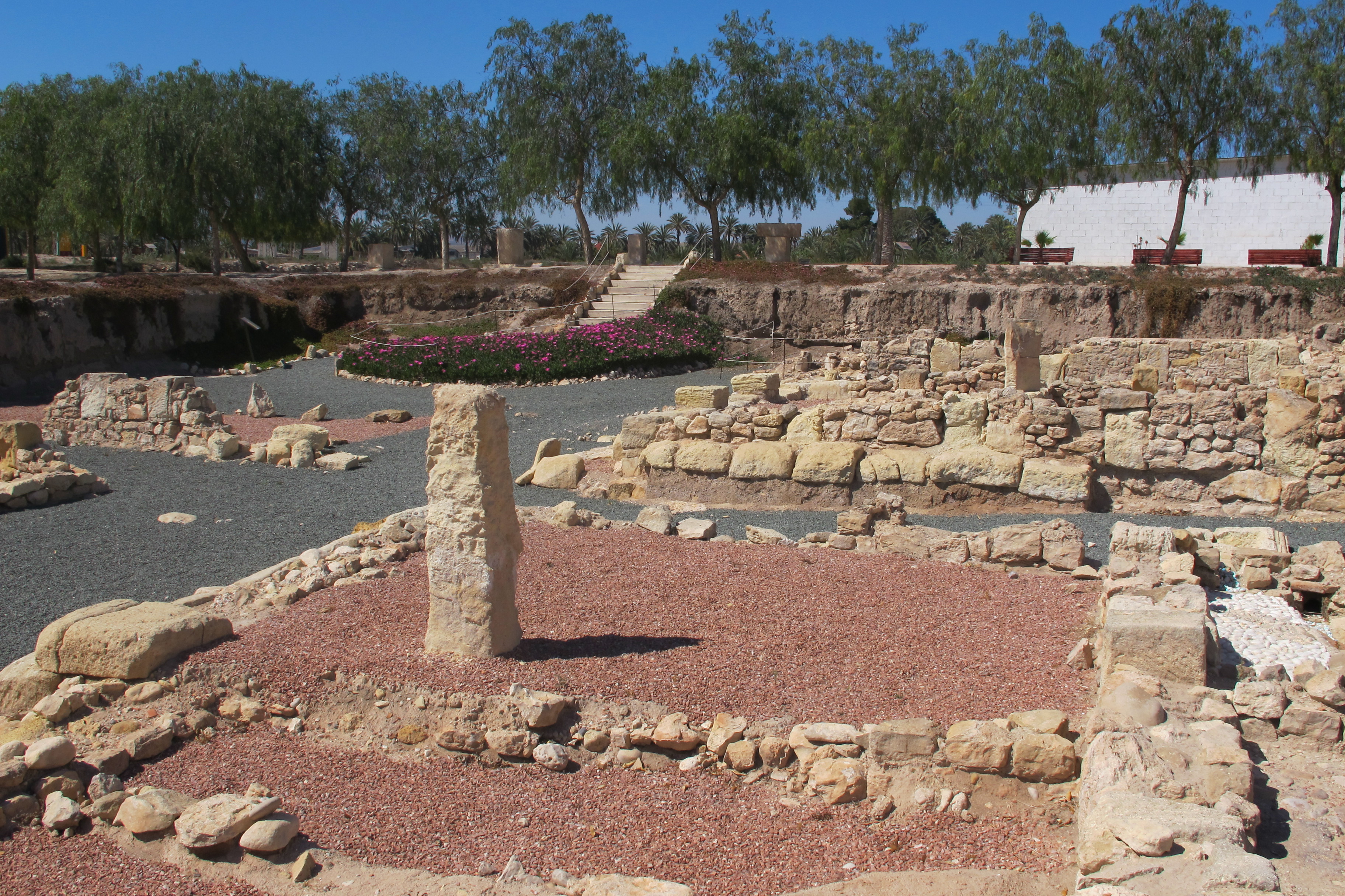 EXPERIENCIA “TIERRA Y AGUA”. ELCHE.
