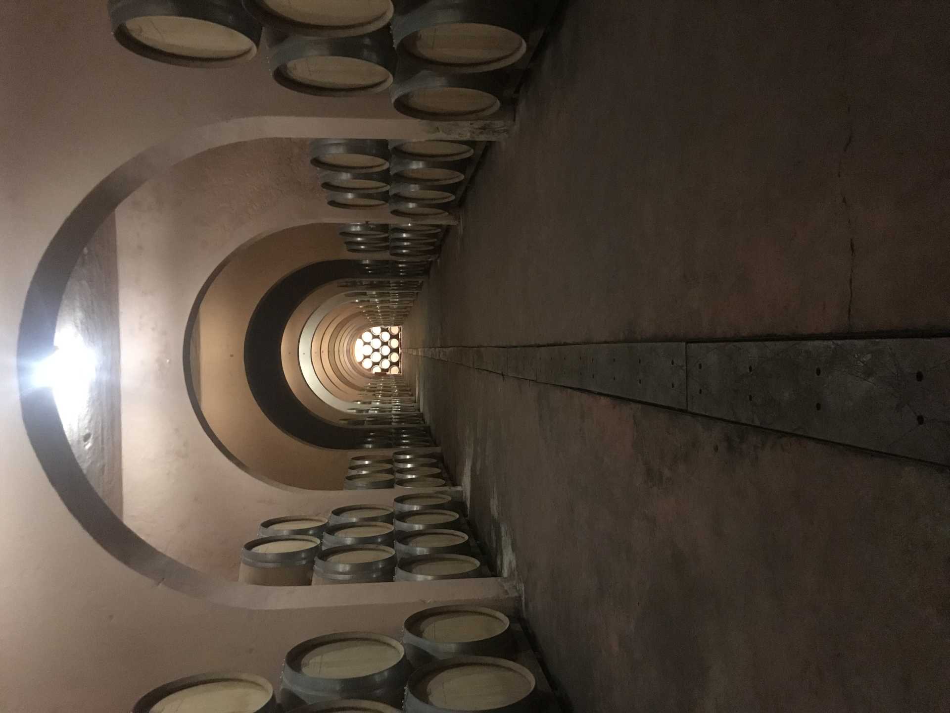 Plan gastro menú: visita bodega y comida en Rte Wasynessy