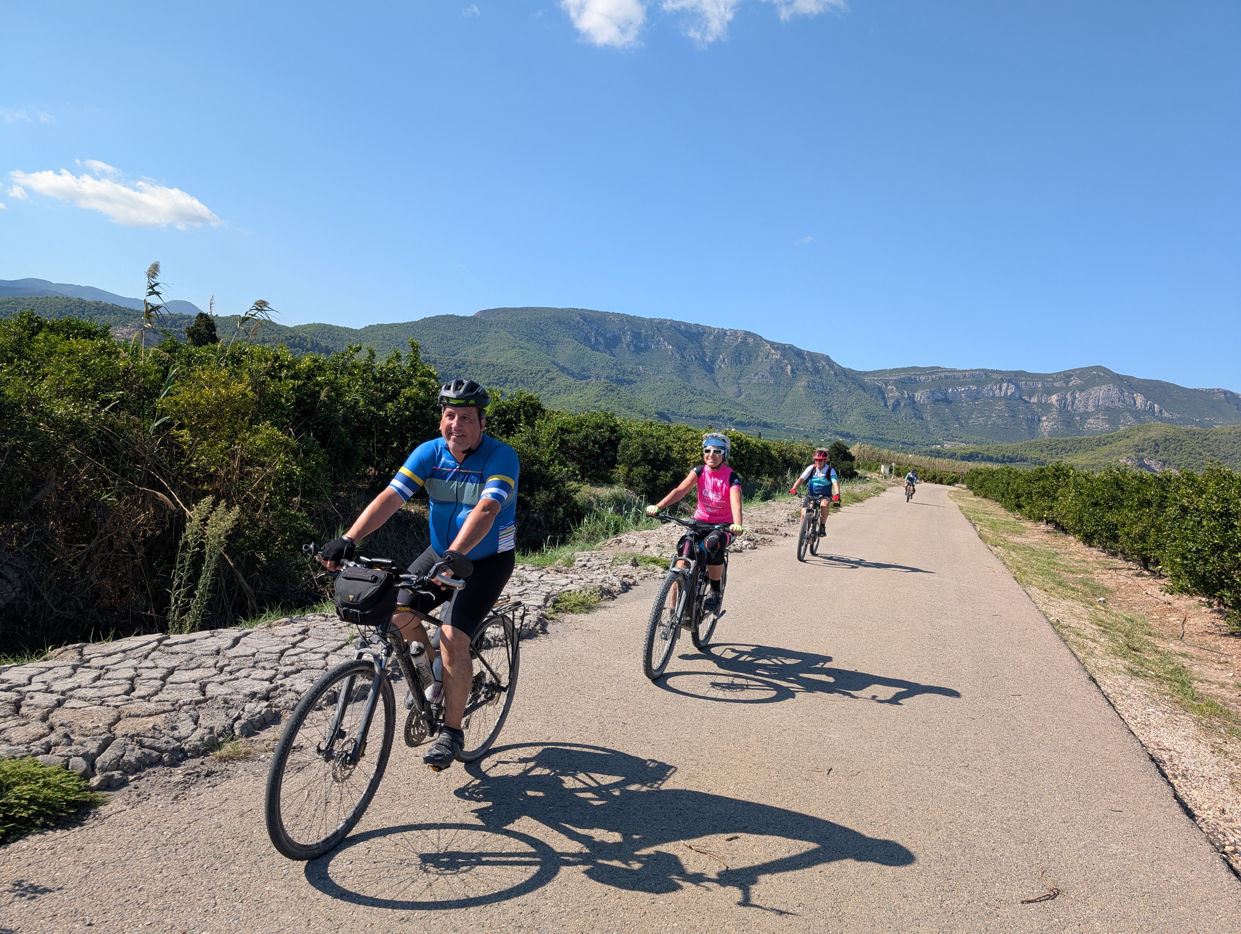 Esencias del Mediterraneo en bici: viñedos, arrozales y plantaciones de naranjas