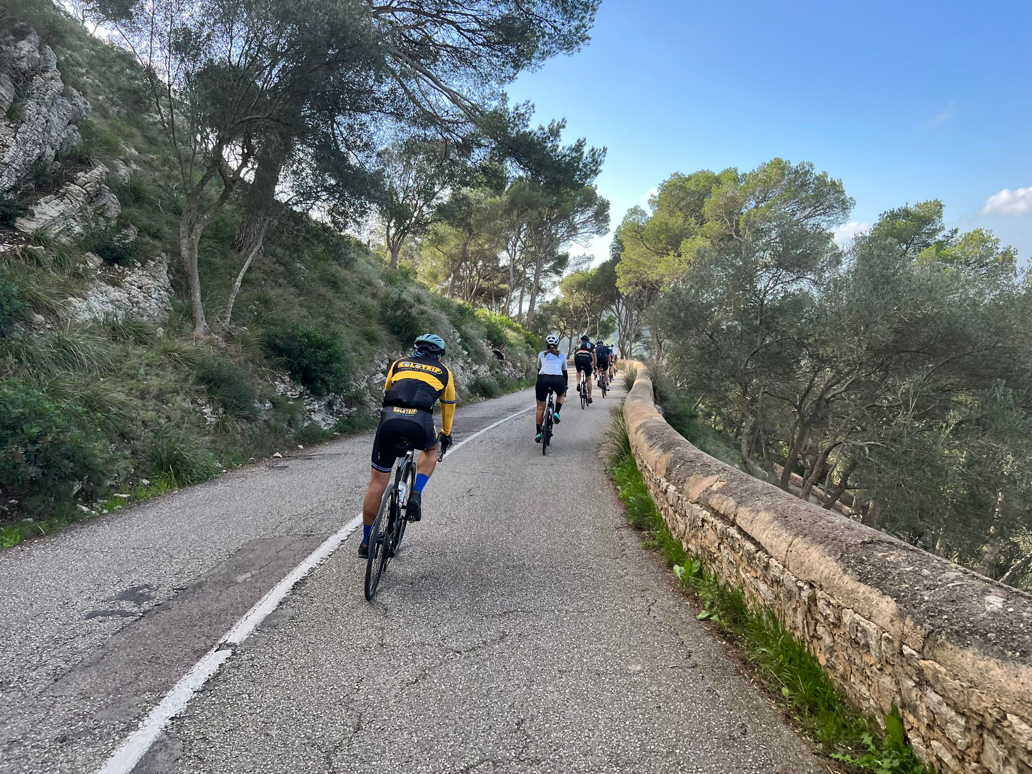 CICLOTURISMO, ENOLOGIA Y EMPRESA