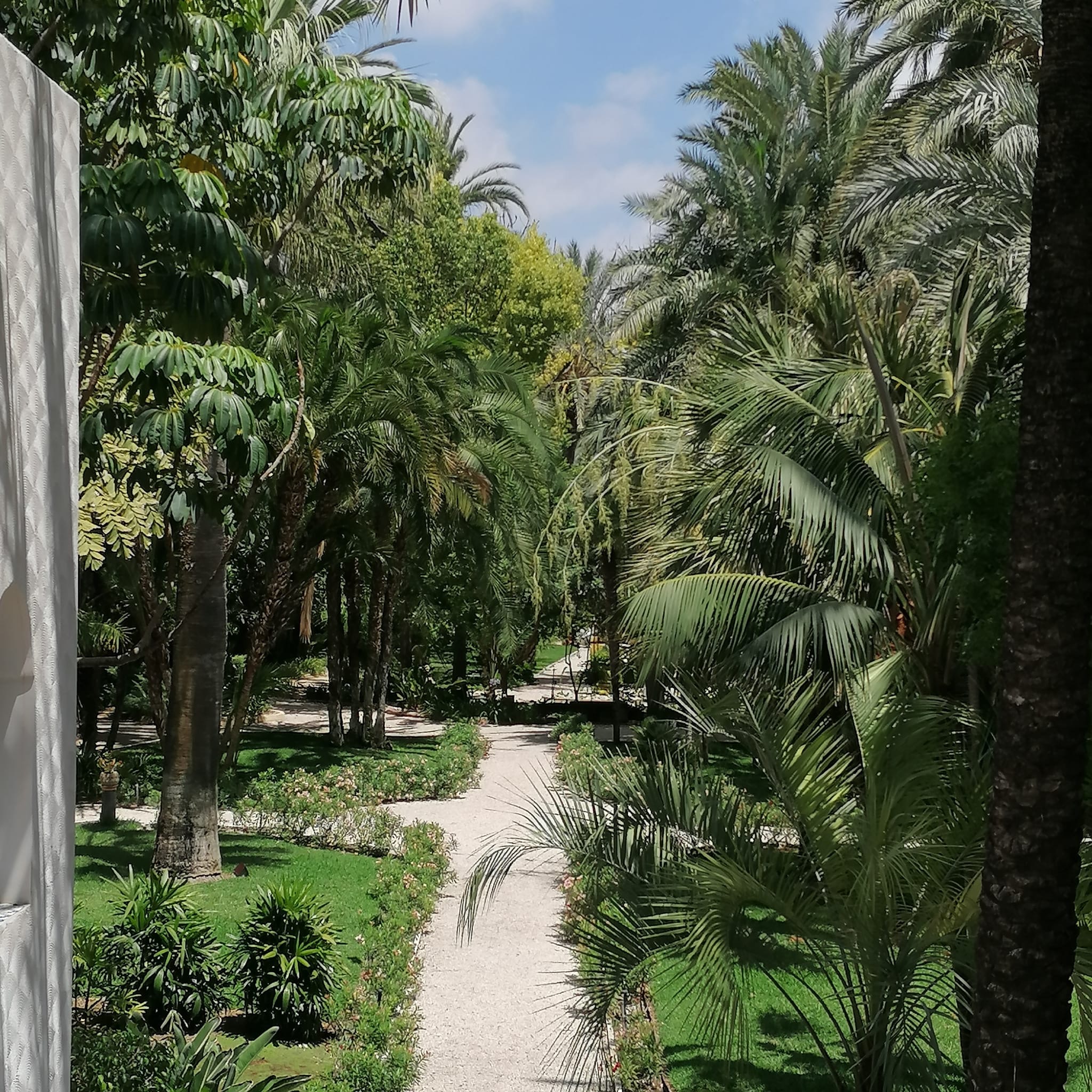 EXPERIENCIA “TIERRA Y AGUA”. ELCHE.