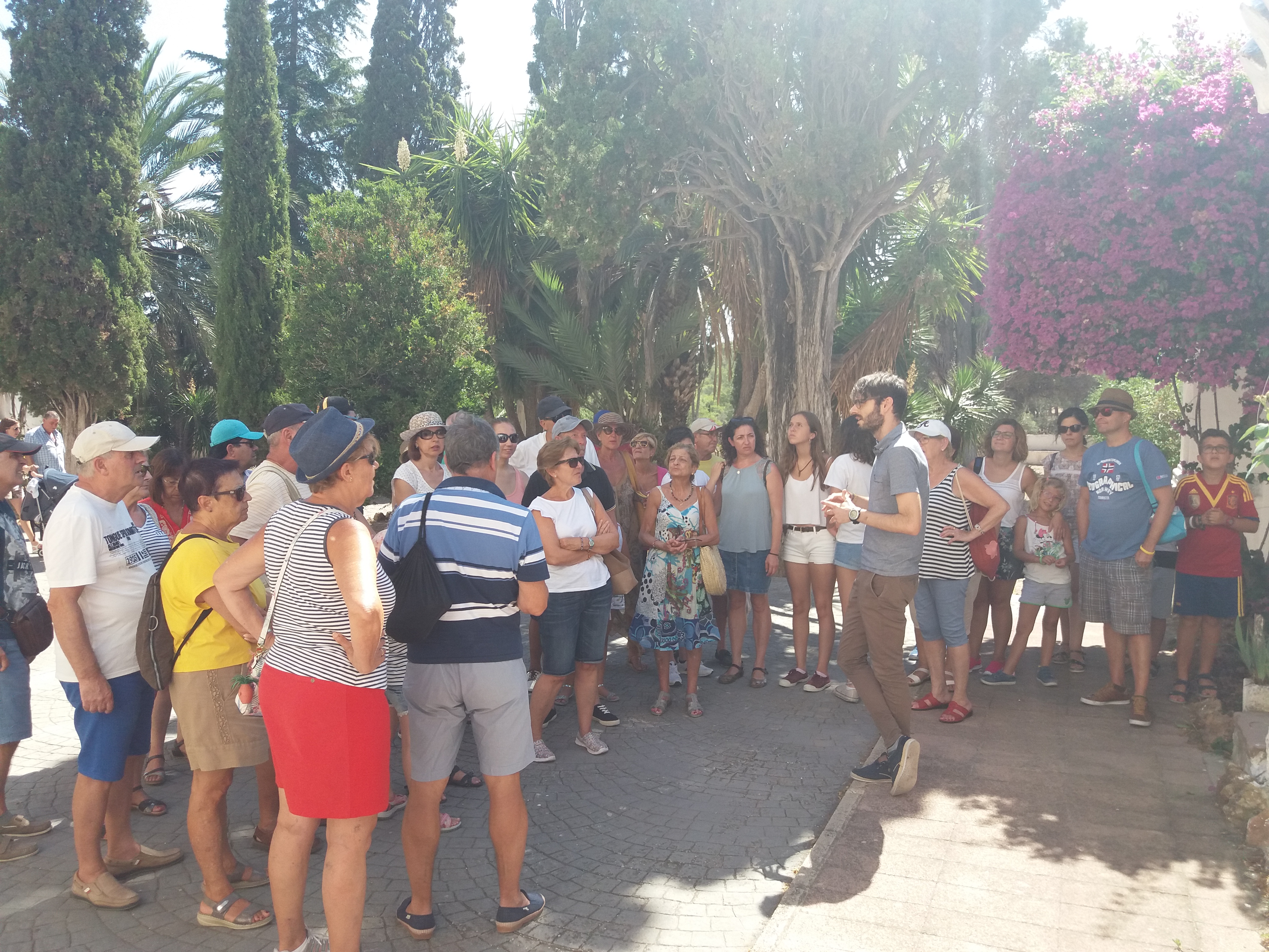 Ruta de la Baronía con Tren Turístico