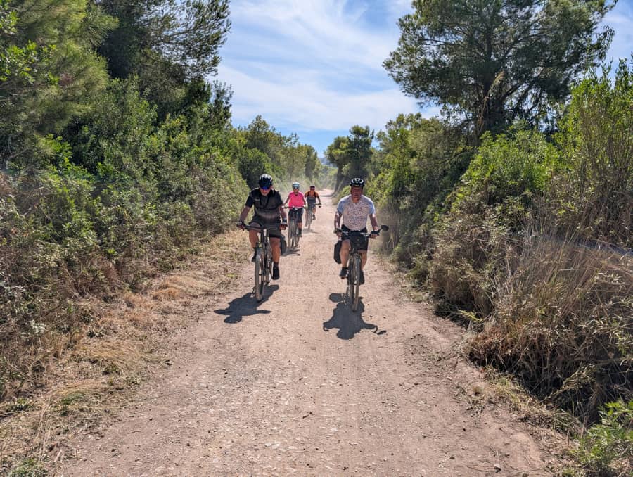 Esencias del Mediterraneo en bici: viñedos, arrozales y plantaciones de naranjas