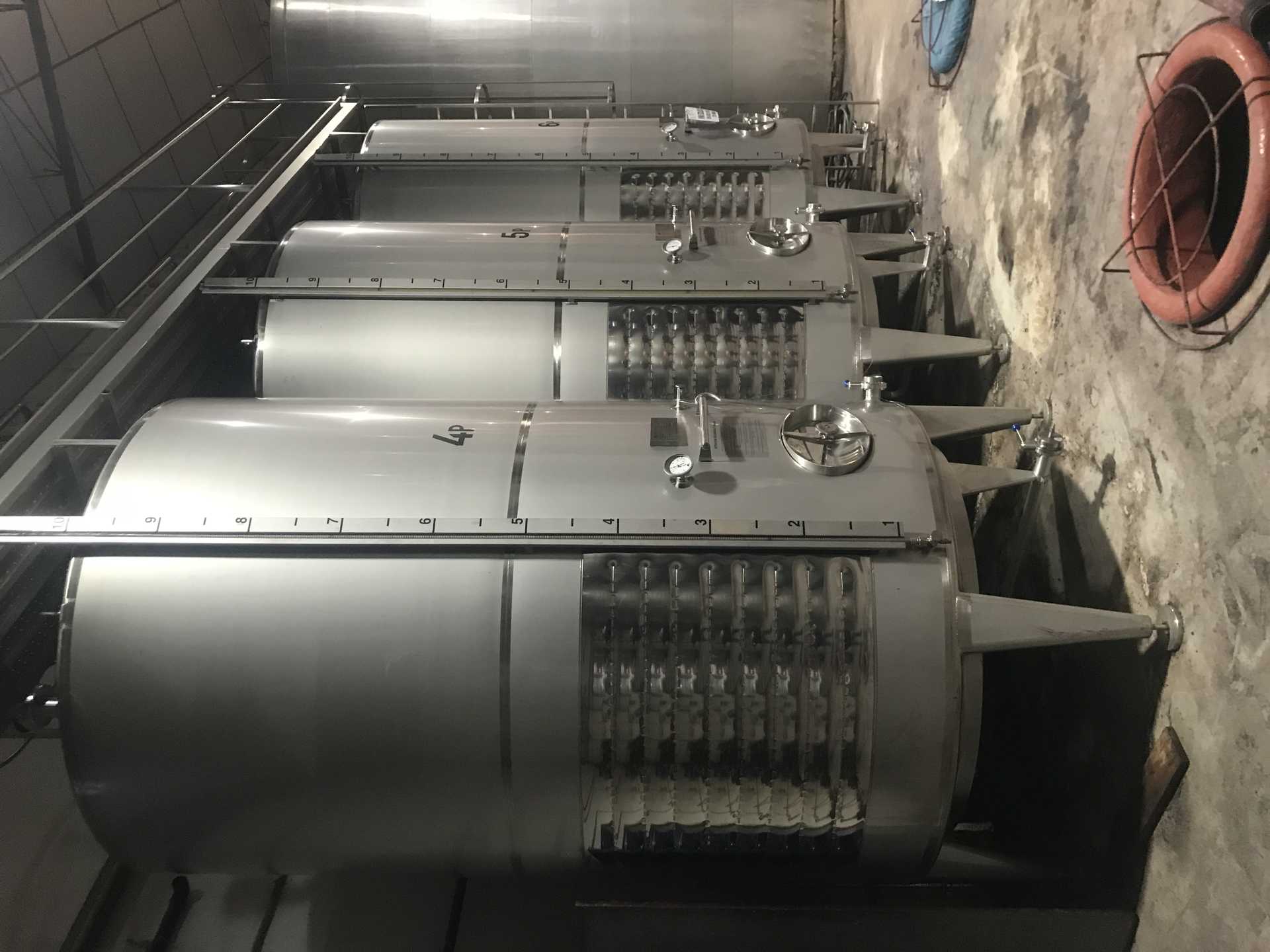 Plan gastro menú: visita bodega y comida en Rte Wasynessy