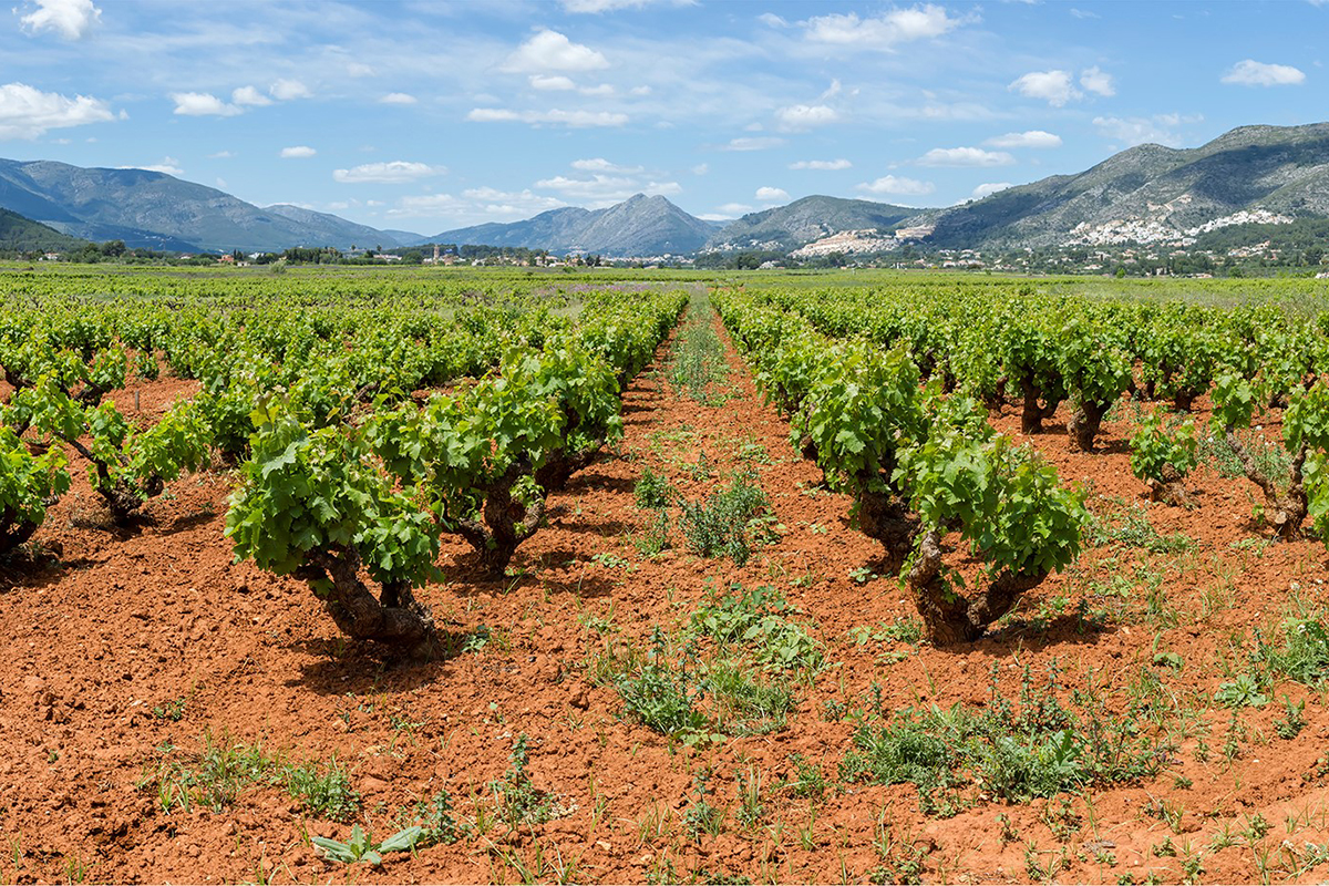 Bike Retreat Costa Blanca