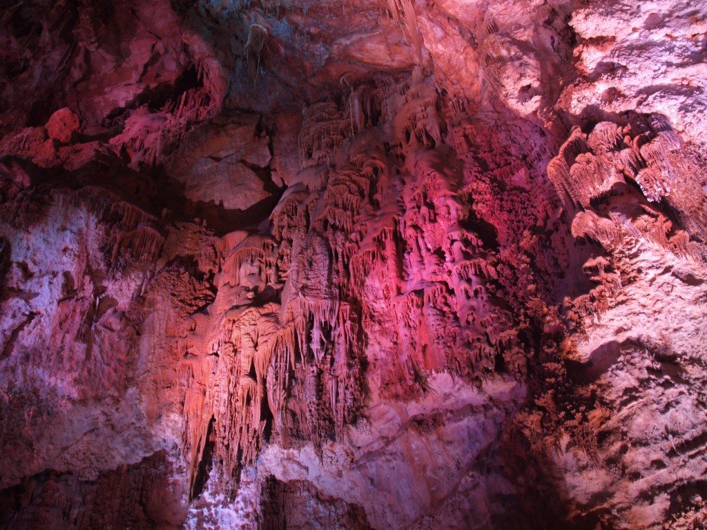 VISITA CUEVAS DEL CANELOBRE Y MUSEO DE MUSICA ETNICA BUSOT