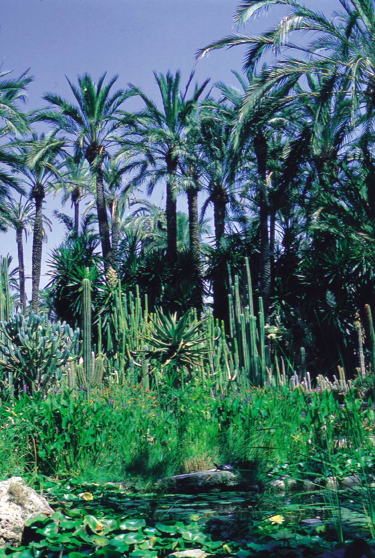 Visita al Jardín Huerto del Cura