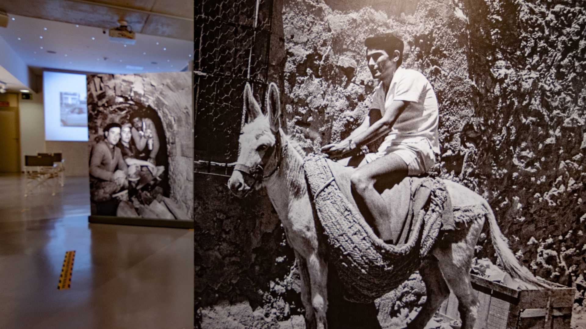 Exposición ‘Pasión desordenada’