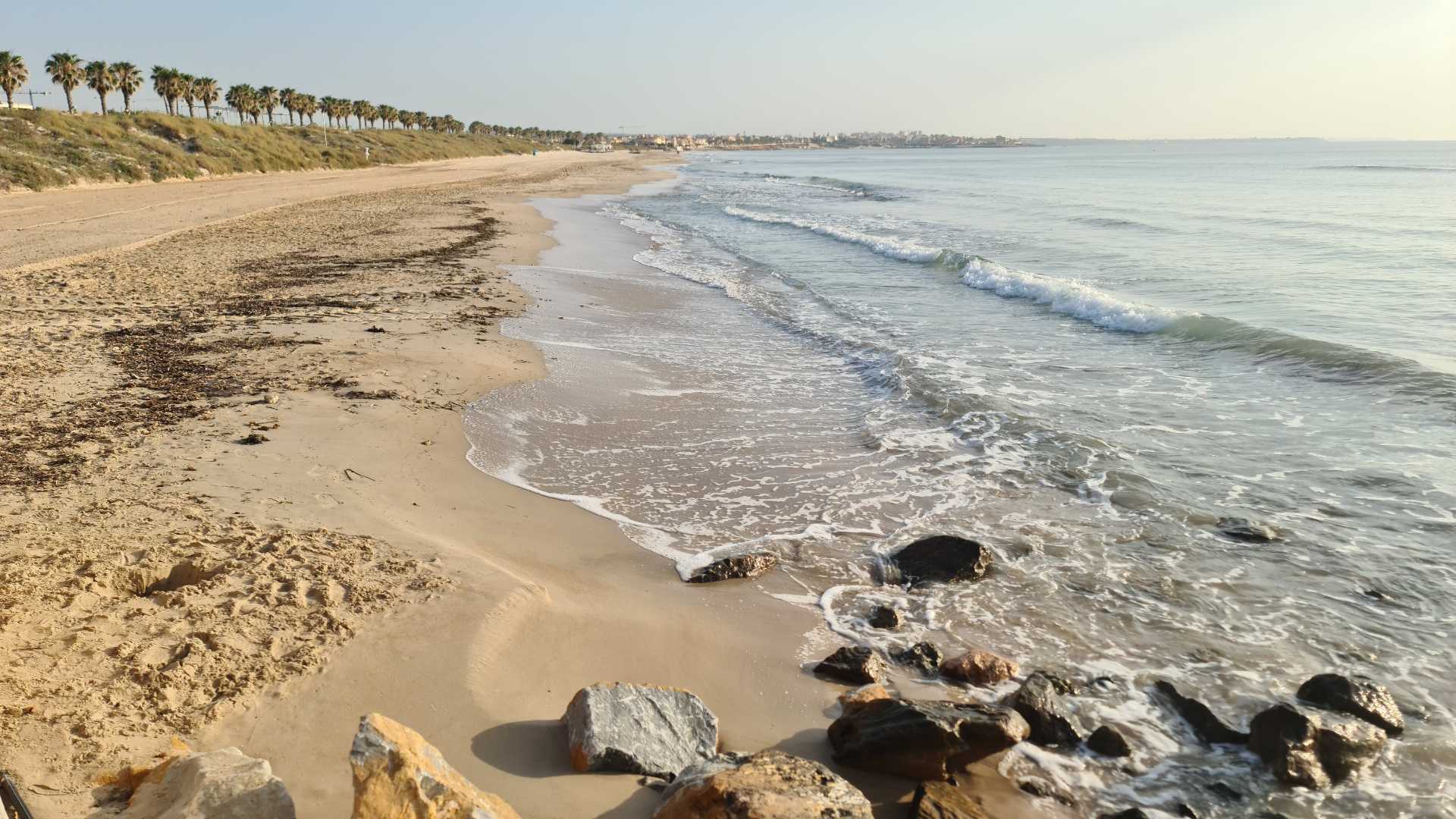 Pilar de la Horadada PLAYA EL MOJÓN