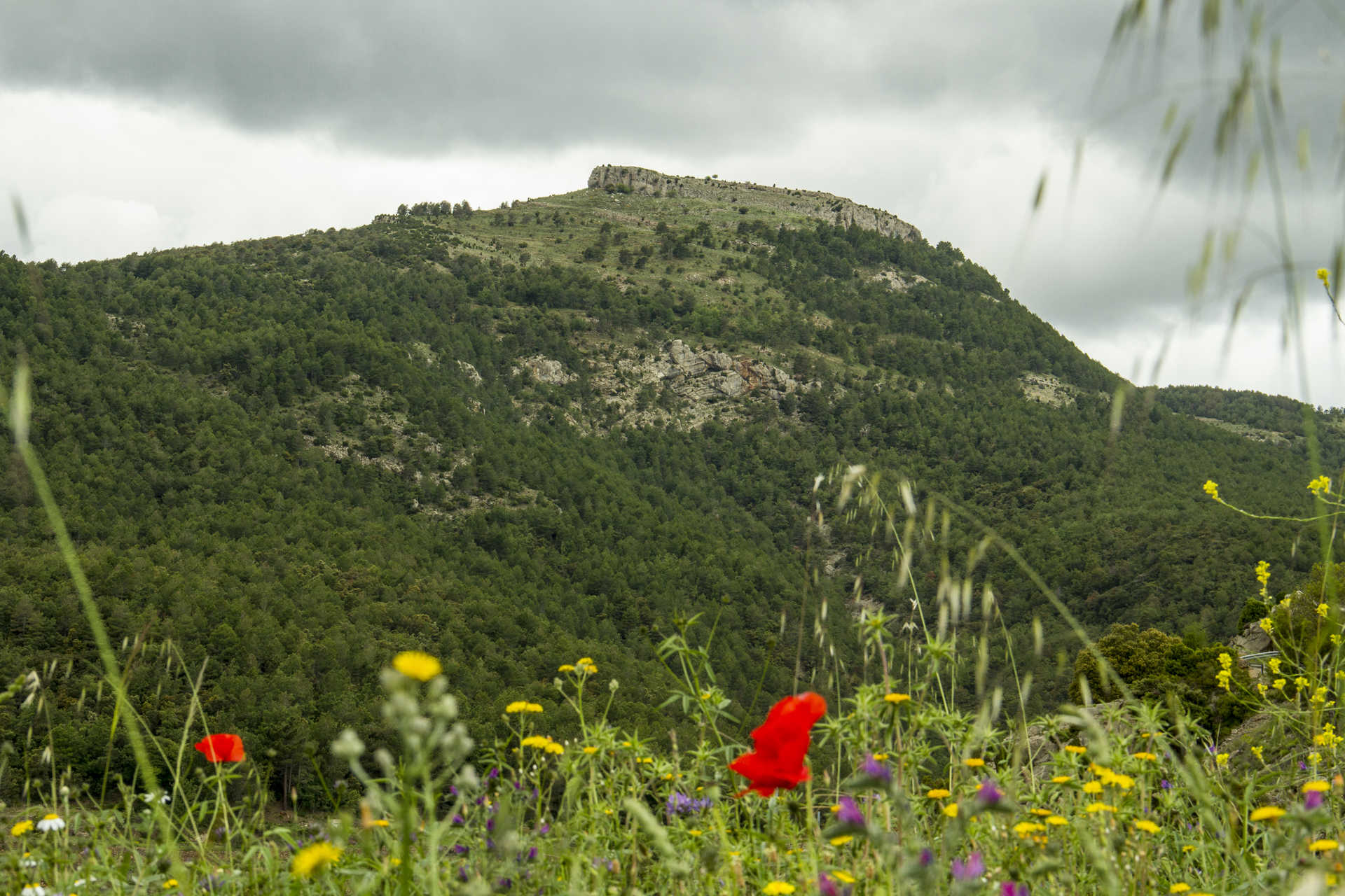 Penyagolosa natural park