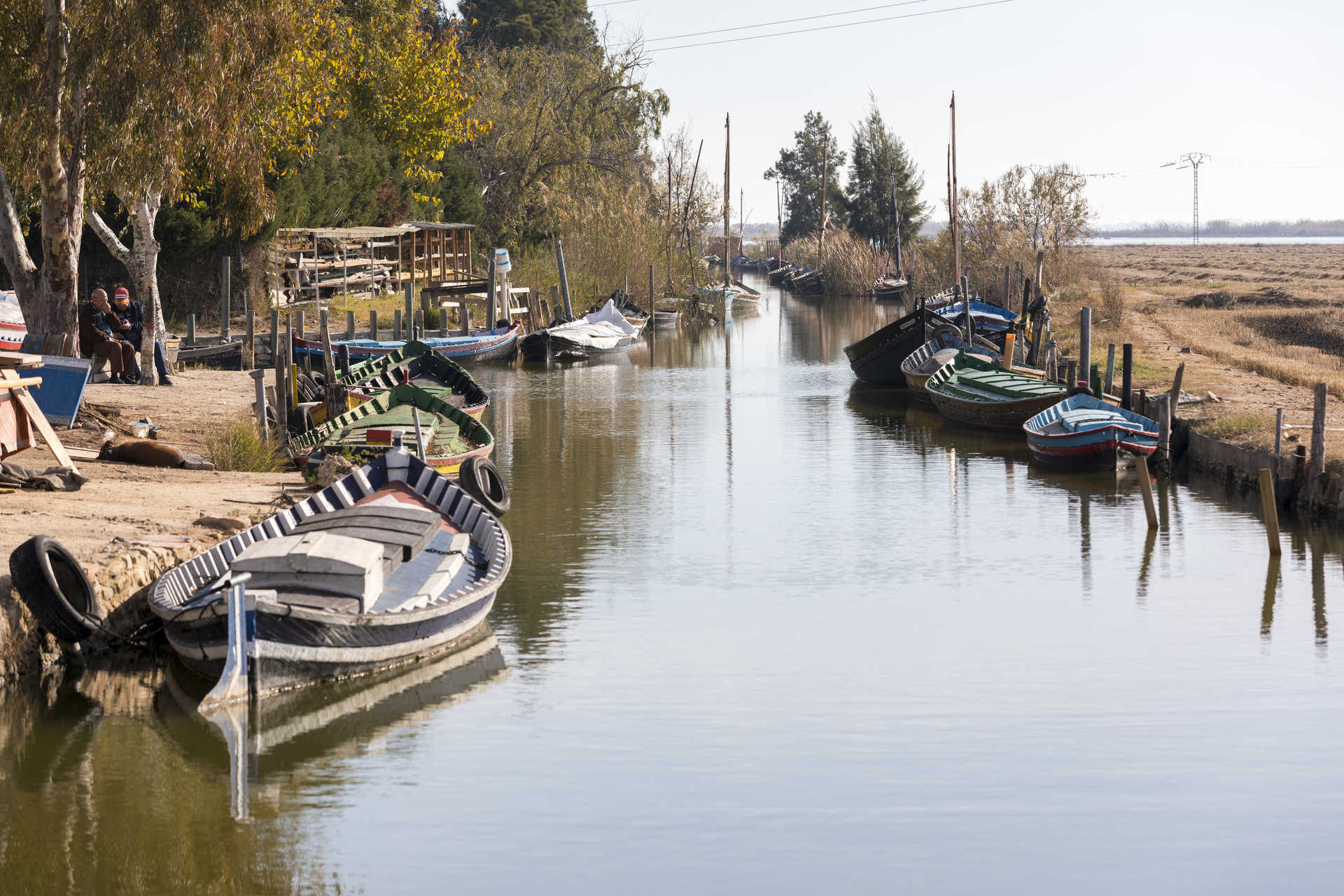 Parc naturel de l'Albufera