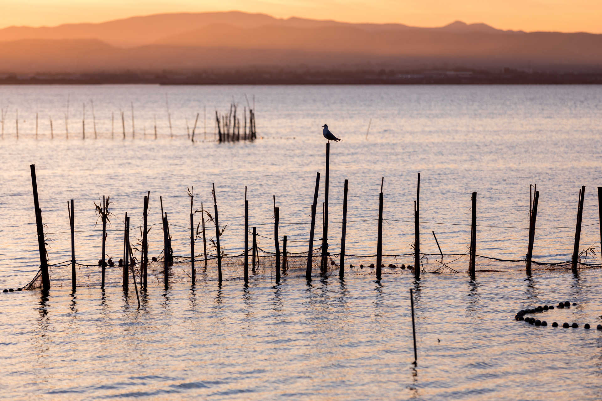 Naturpark Albufera