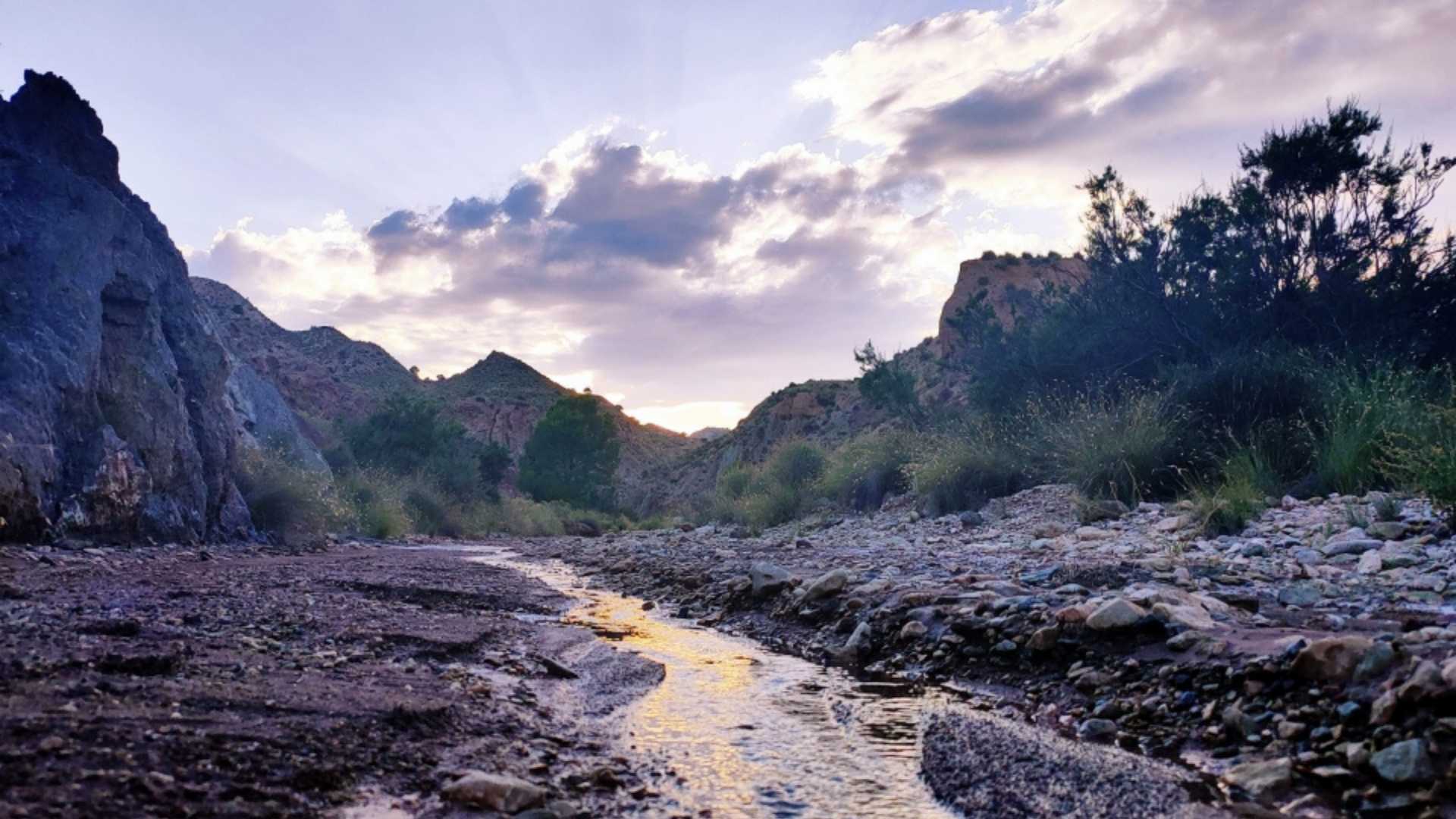Ruta Scooter: Arcillas y Barrancos