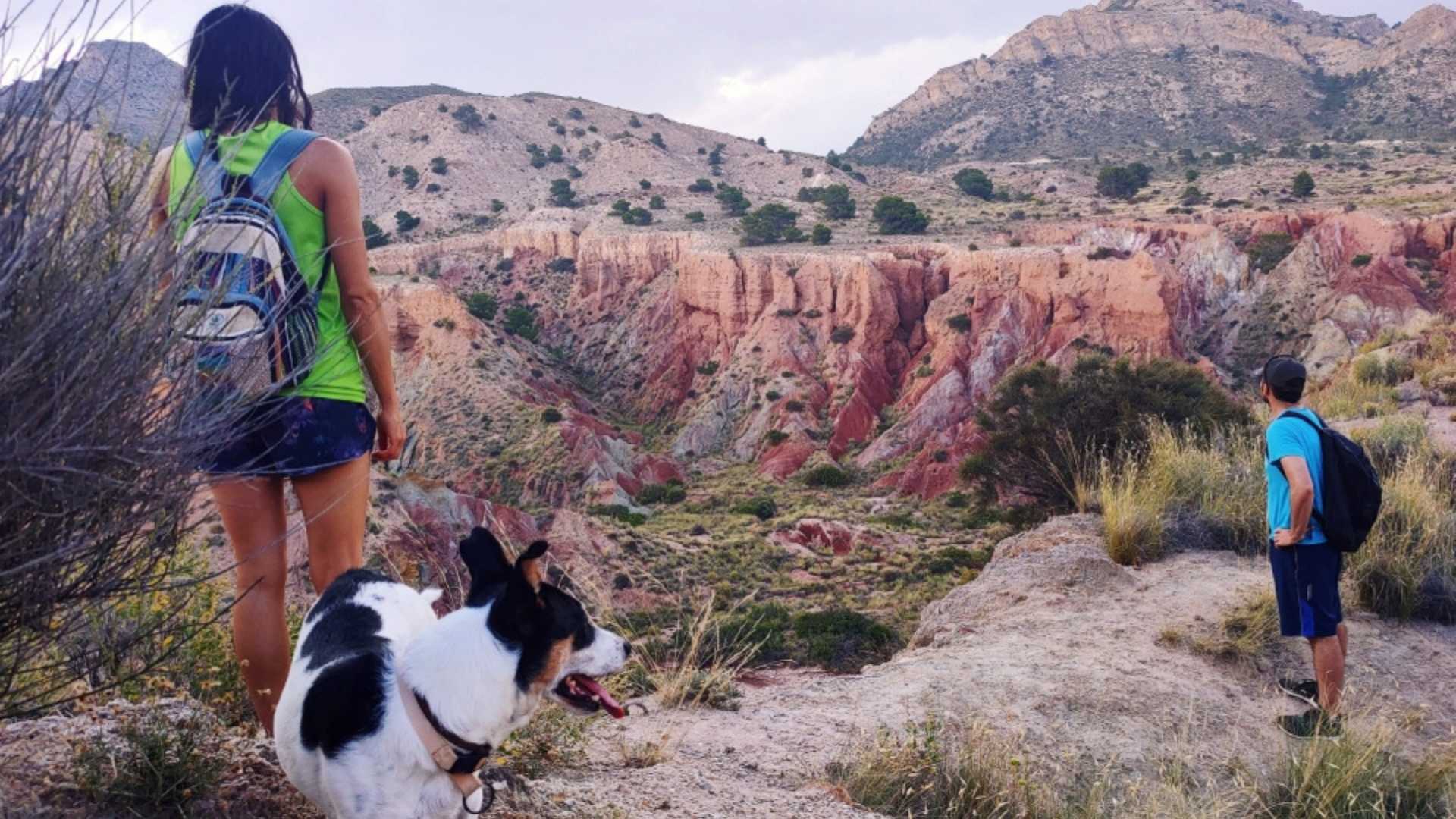 Ruta Scooter: Arcillas y Barrancos