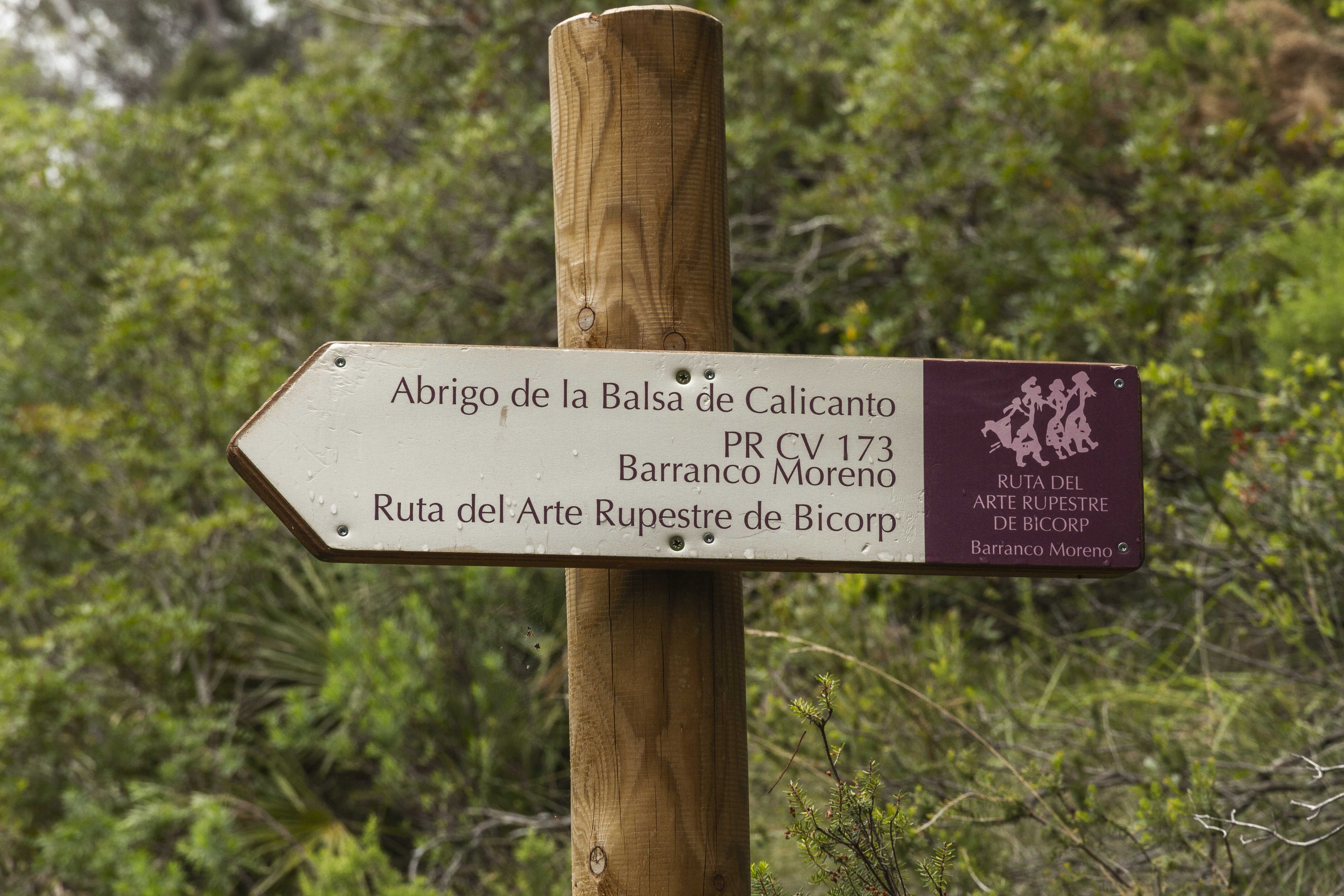 Barranco Moreno