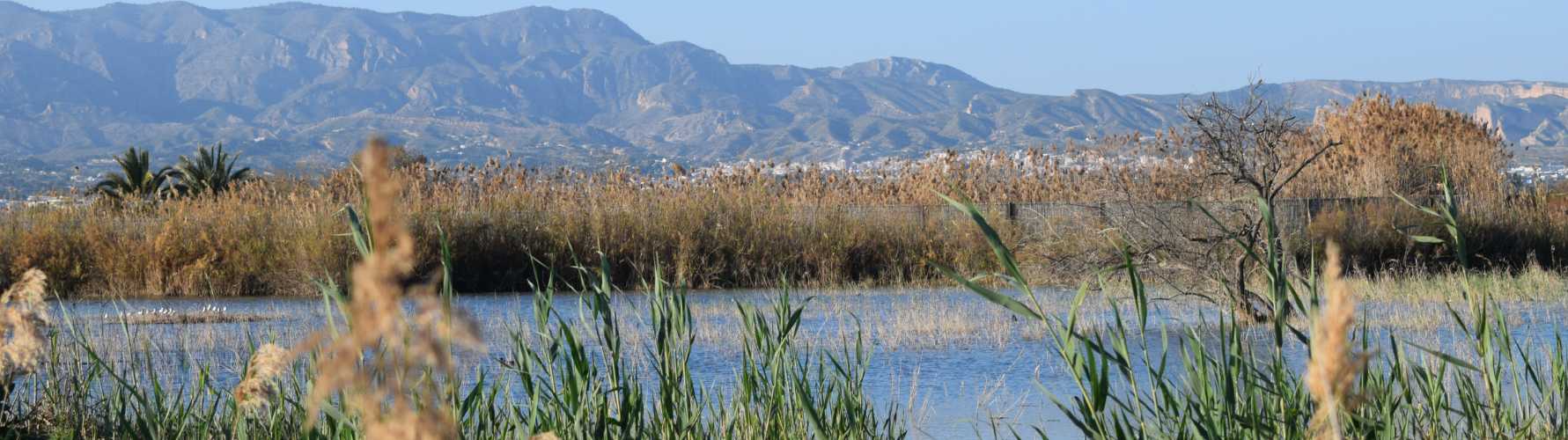 naturpark el hondo