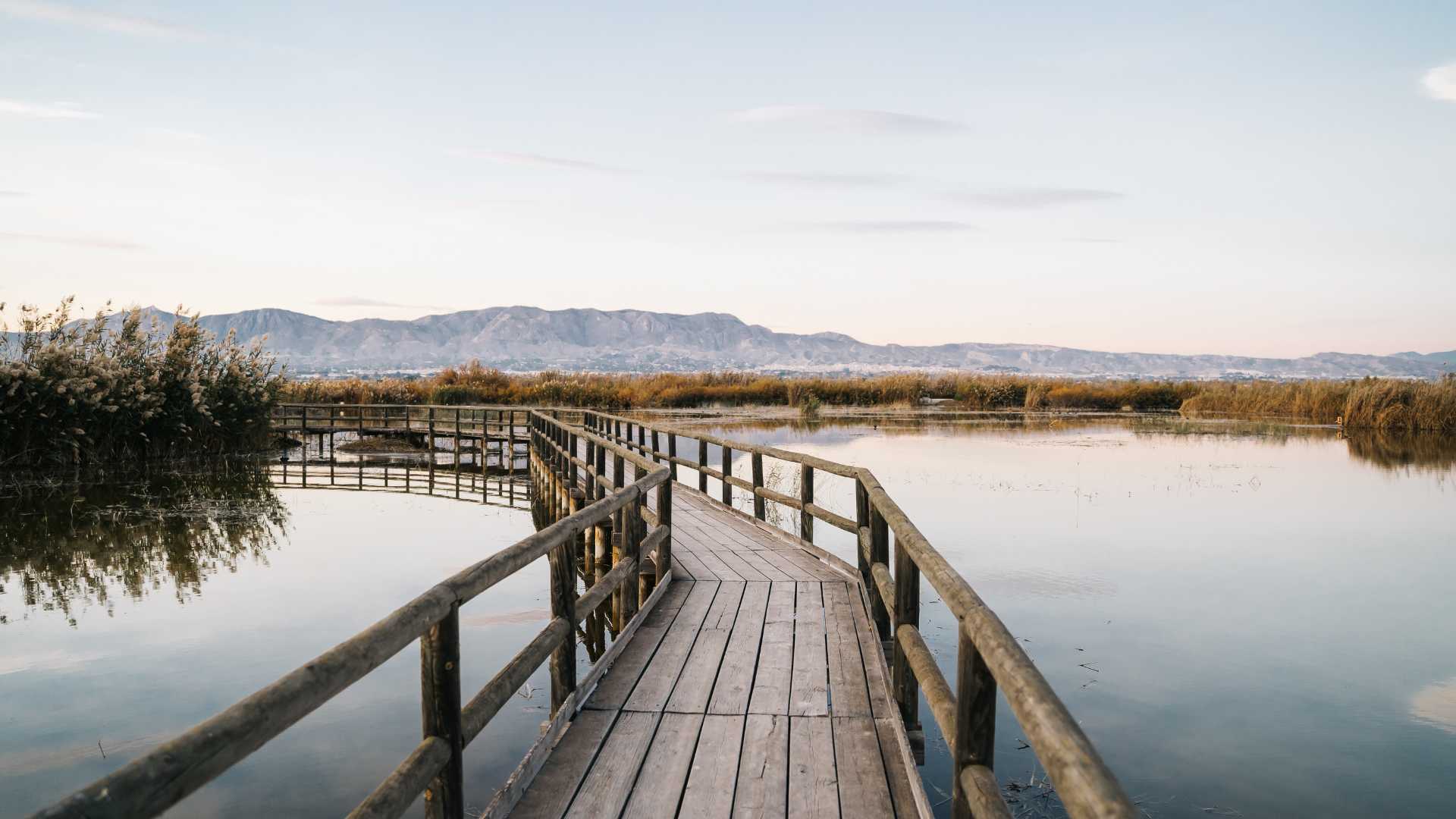 el hondo natural park elche