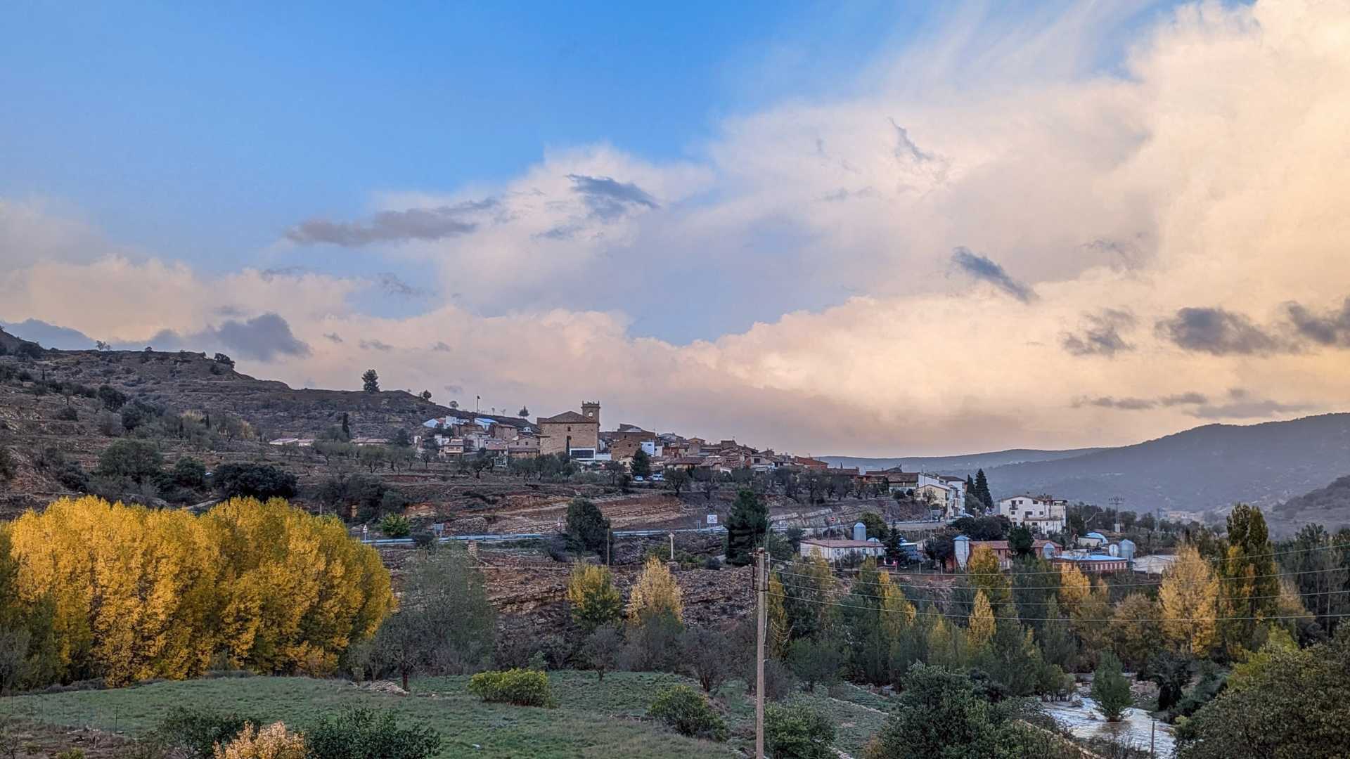 la mata de morella que hacer