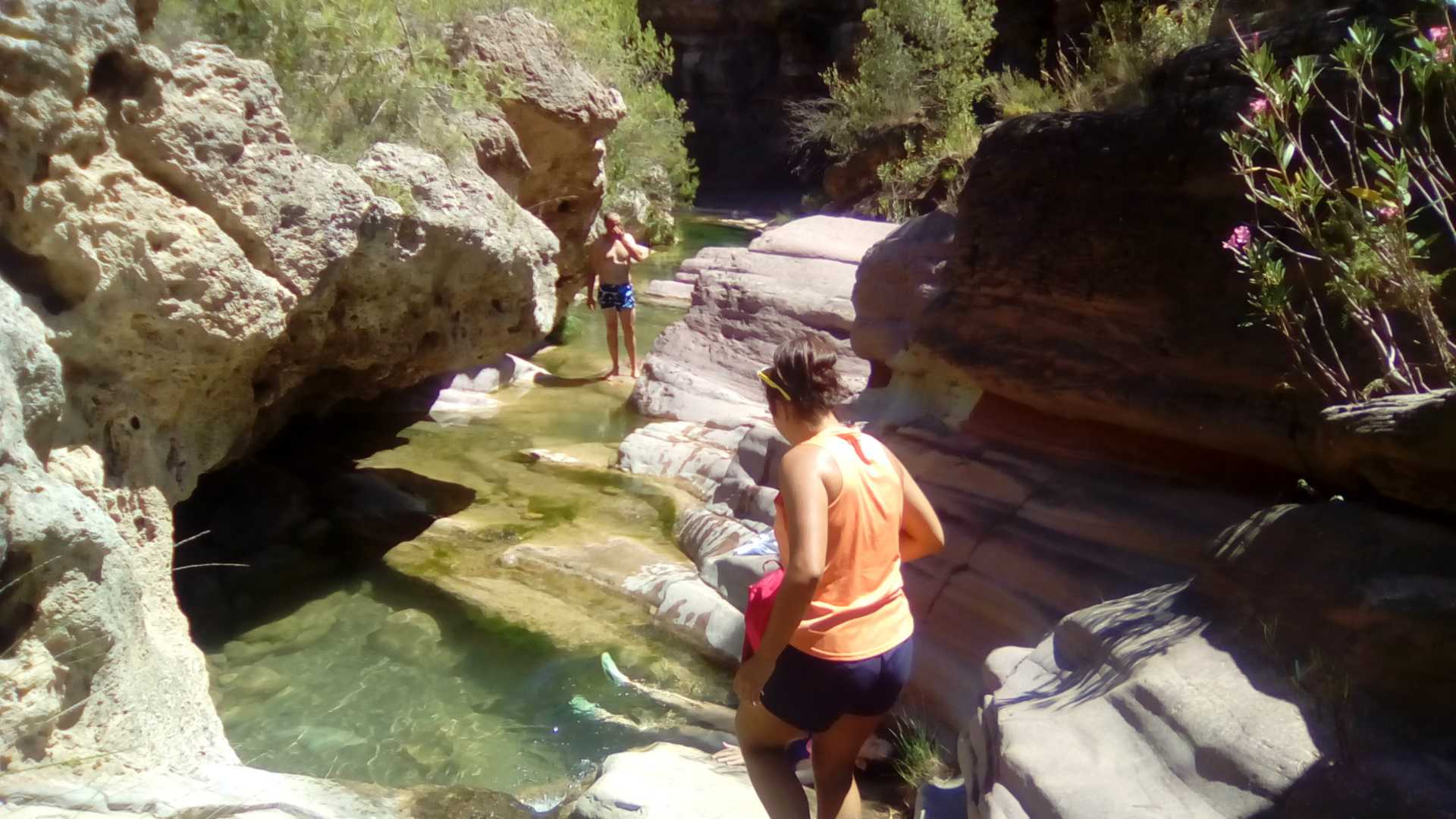 HARDACHO ACTIVIDADES EN LA NATURALEZA