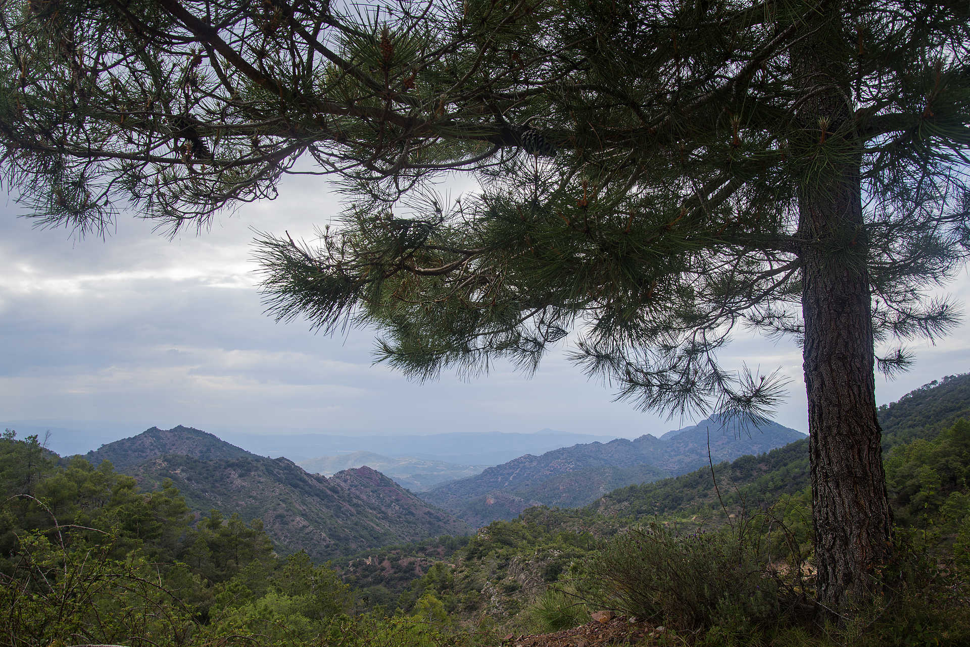 Parque de la Sierra de - Comunitat Valenciana