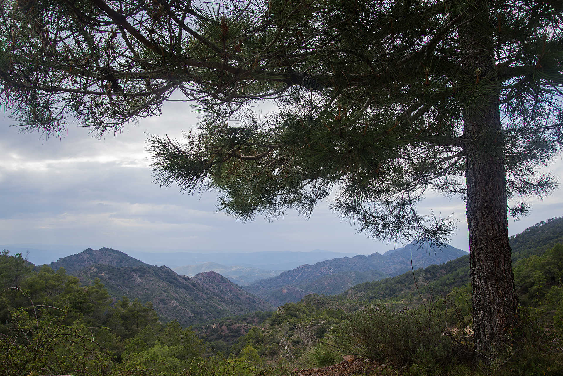 Parc naturel de la Sierra de Espadán