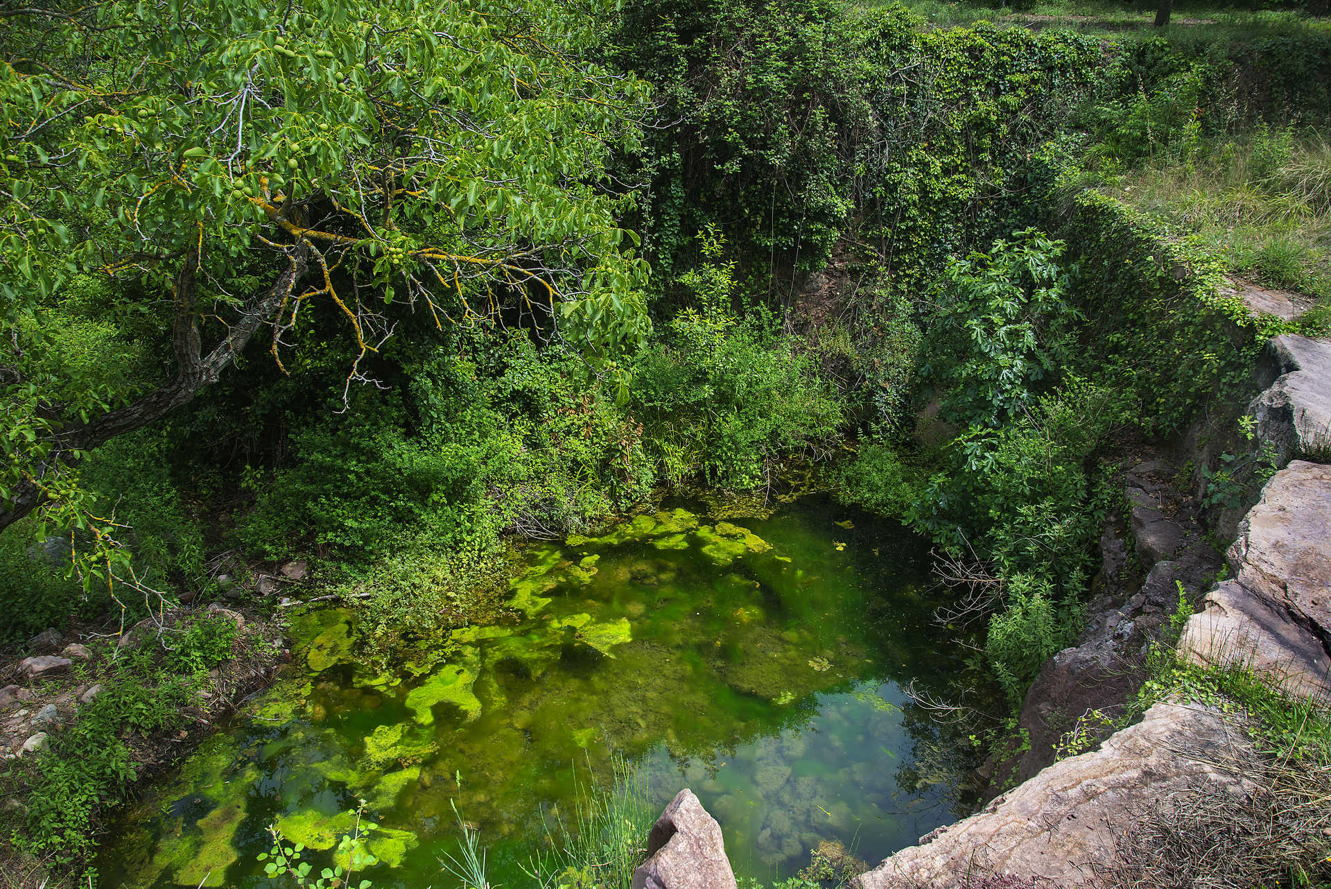 Parc Natural de la Serra d'Espadà